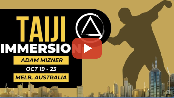 Taiji Immersion