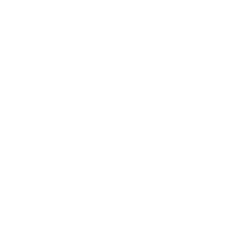 Pylon SEO Consulting