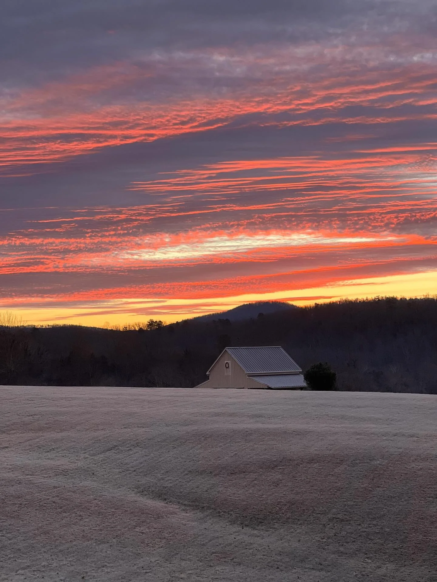 I&rsquo;m always looking for sturdy places this time of year. Getting caught in the swirl feels more likely. Maybe even encouraged? And so I return to the barn, over and over, every morning, just after dawn. Its permanence is comforting. Steadying. T