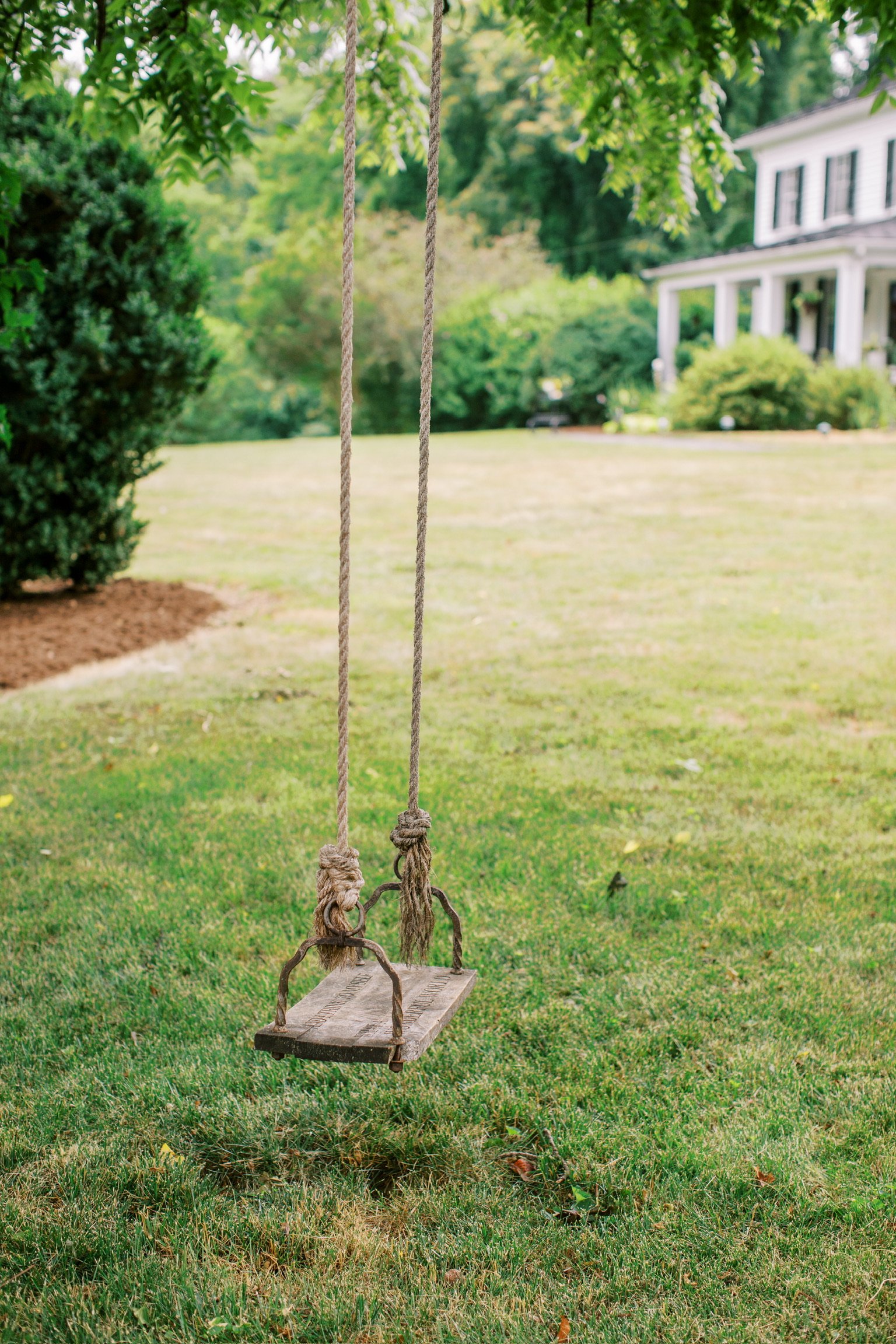 Tonic&Bloom_June2024_AmyNicolePhotography-24 3.JPG