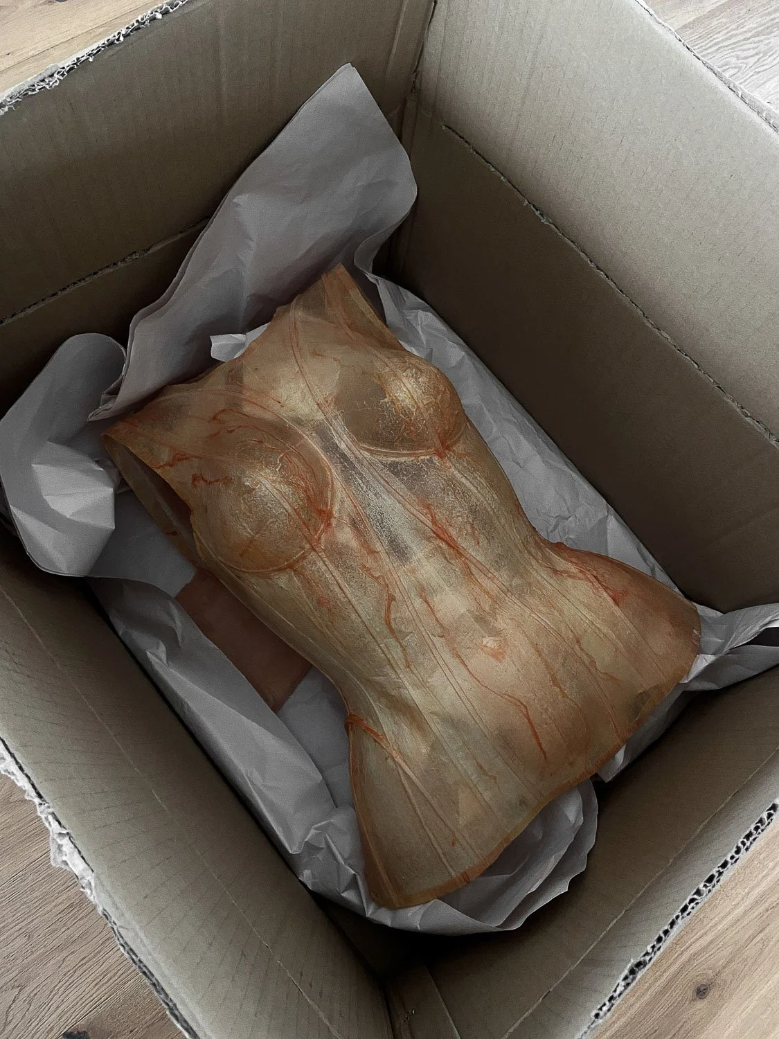 COBRAH_Custom_Clear_Sculpted_Latex_Body_Cast_ by_PATH_by_Janine_Grosche_13.jpg