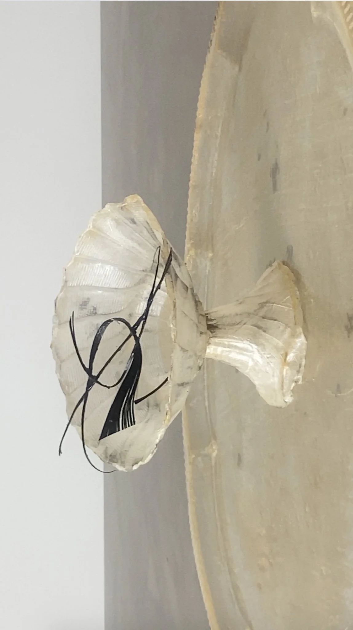 Translucent Latex Skin Vessel — Janine Grosche / PATH