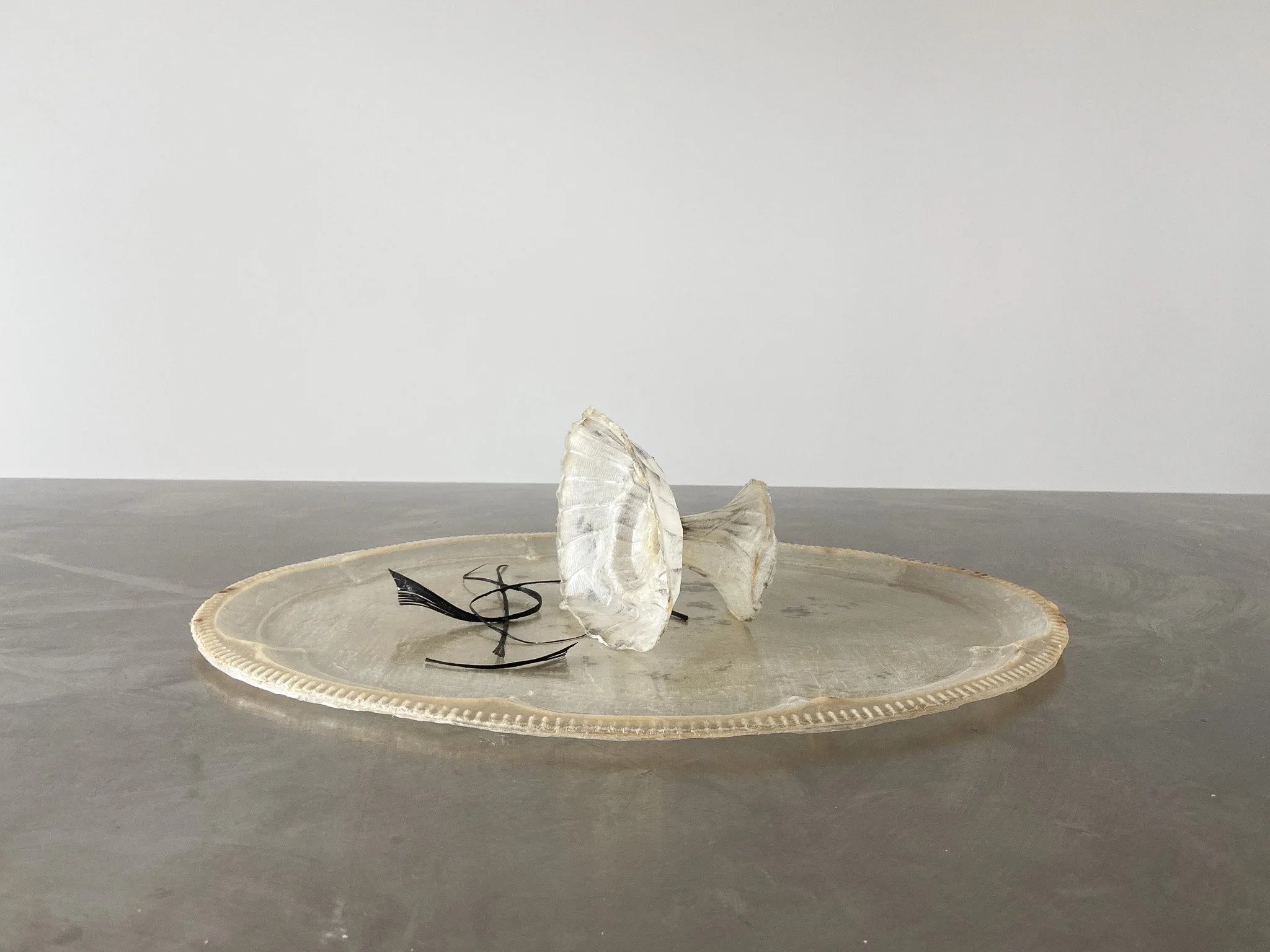 Translucent Latex Skin Vessel — Janine Grosche / PATH