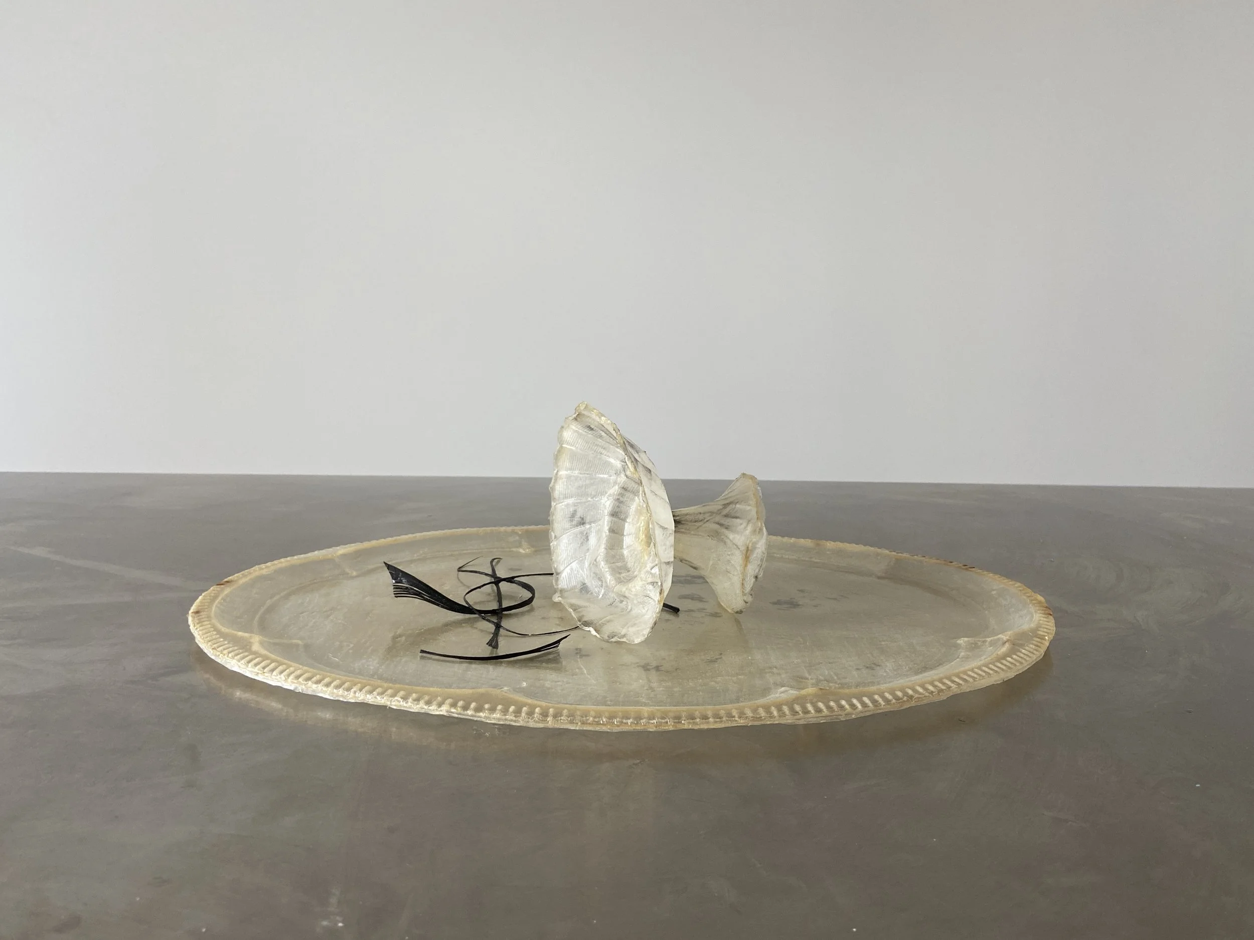 Vessel I from OMEN by Janine Grosche, a translucent vessel and tray sculpture handcrafted from natural liquid latex.