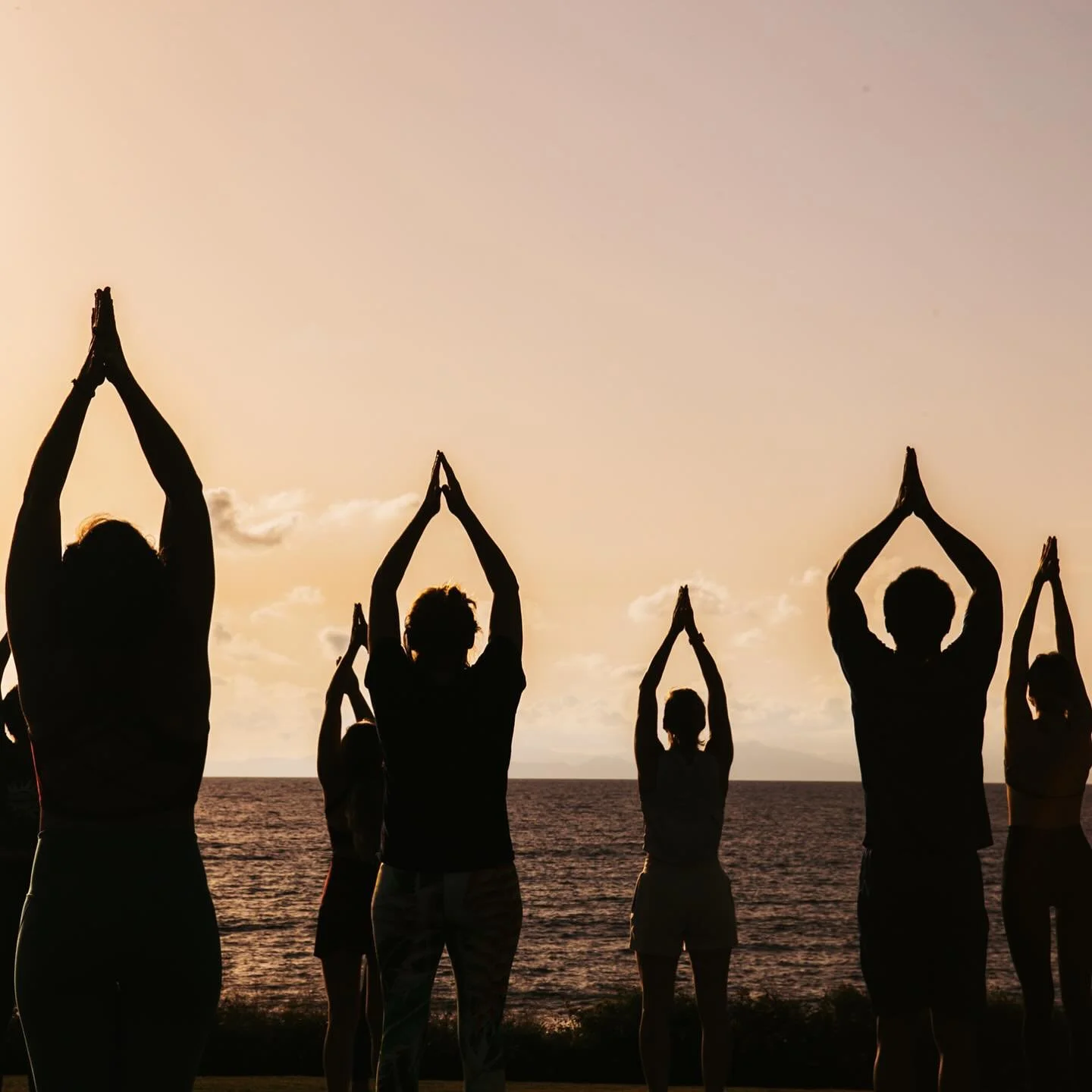 ✨ Beautiful memories from our October Soul Expansion Retreat in Greece. So much gratitude for all these wonderful humans who showed up open to give, receive and experience this magical journey together. 

☀️ Our next Greece Retreat is coming up in Ju