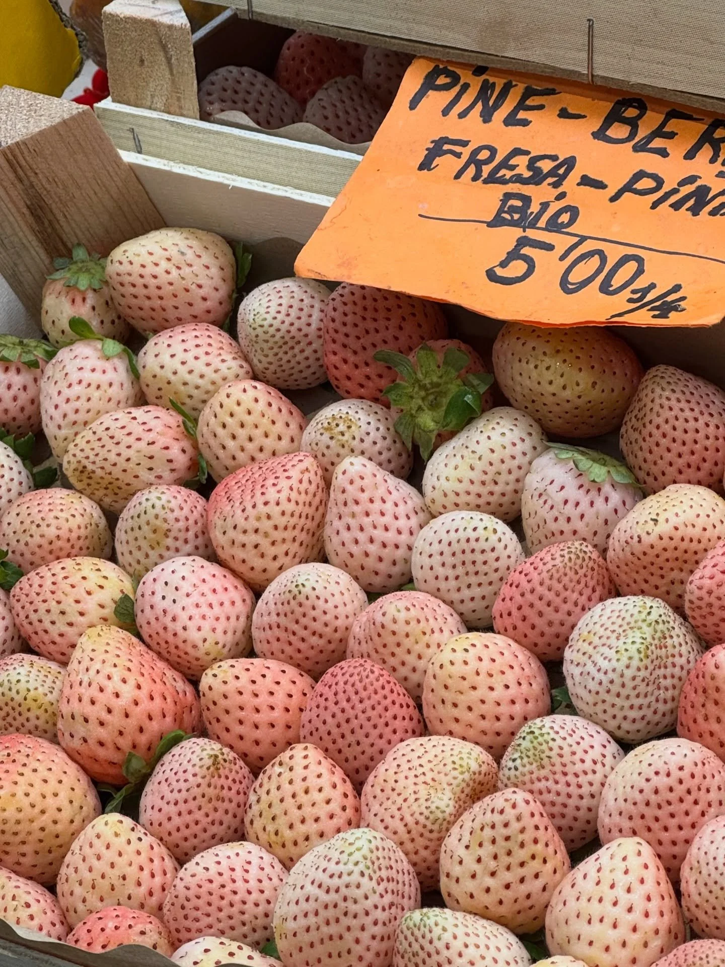 Life is better when its juicy 🍓 
Snaps from Spain pre and post retreat✨