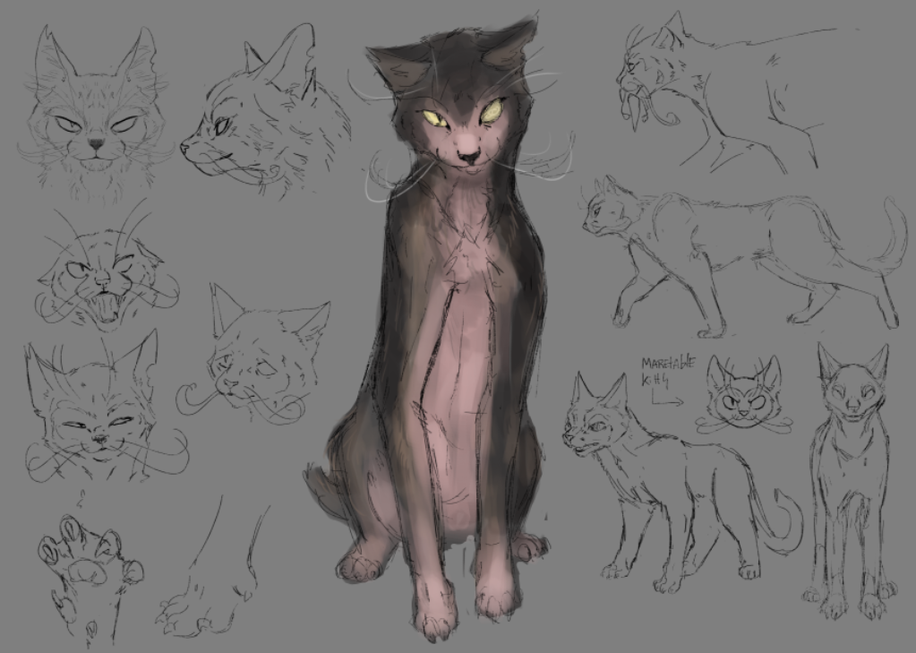 cat 3.png