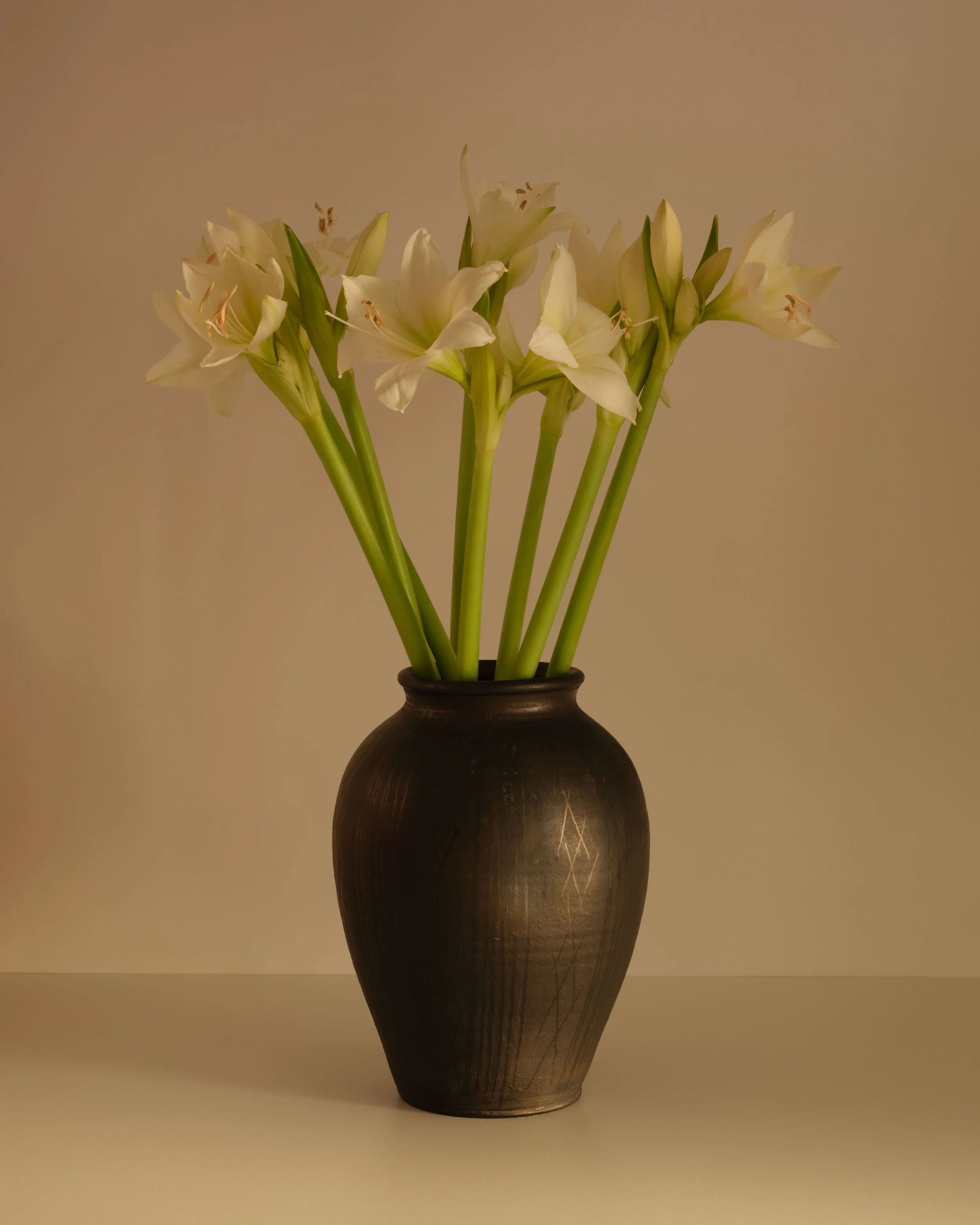 Black Ceramic Vase