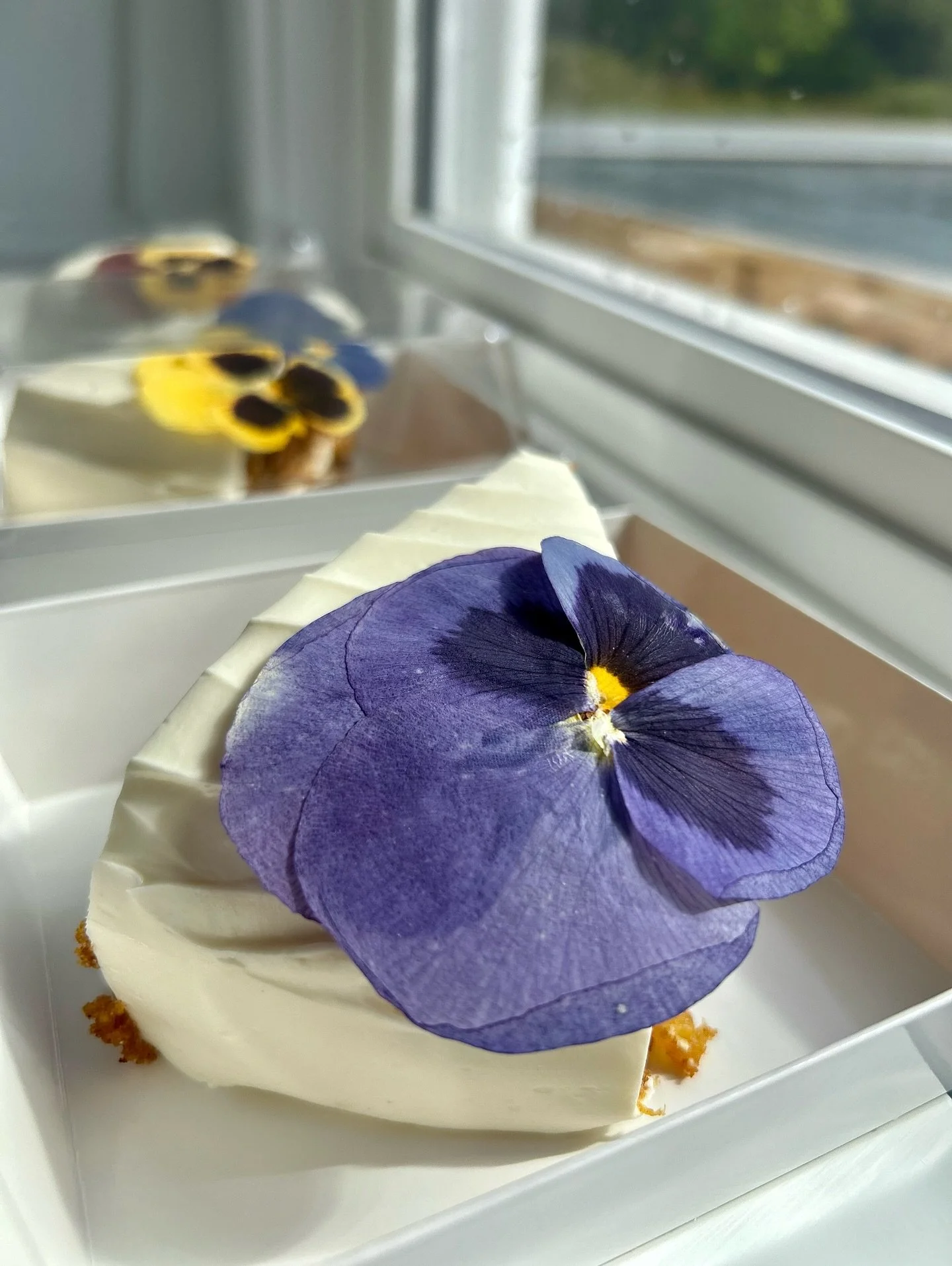 We&rsquo;re open today until 6pm at 11186 Peggy&rsquo;s Cove Rd 🤗❤️.

✨ On today&rsquo;s menu ✨
&bull; Freshly baked Gluten Free Carrot Cake 🥕🍰
&bull; Rich Gluten Free Chocolate Cake 🍫🤎
&bull; GF Carrot &amp; Currant Muffins 🧁
&bull; GF Chocola