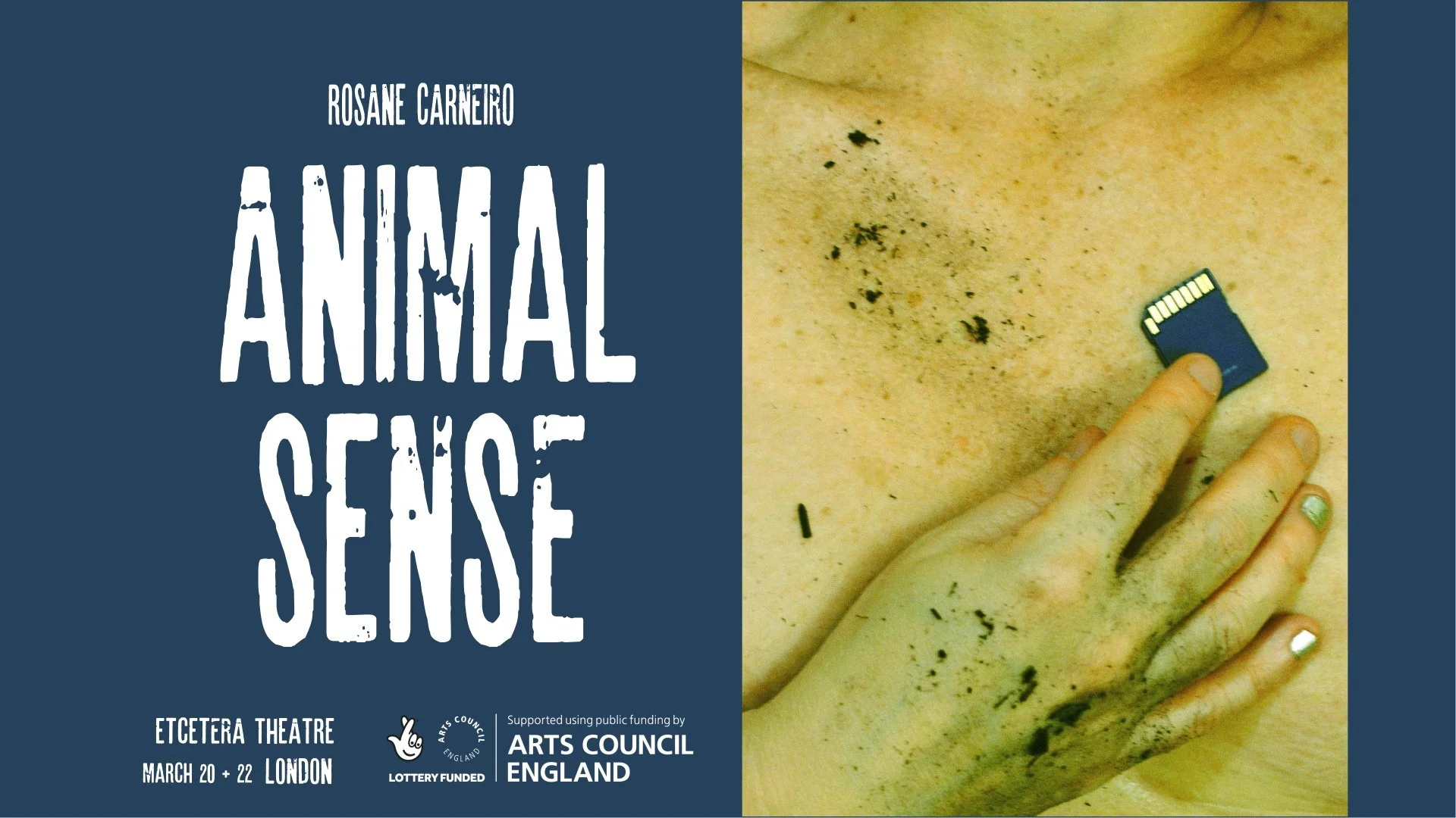 Animal Sense (women writers festival)