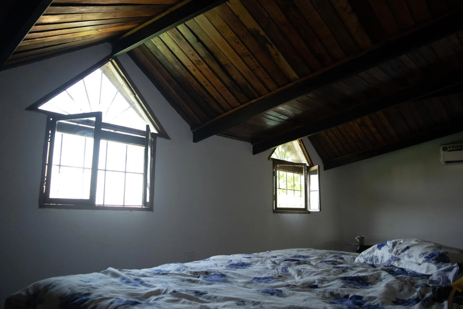 When Basement and Attic Mold Signal a Bigger Moisture Problem