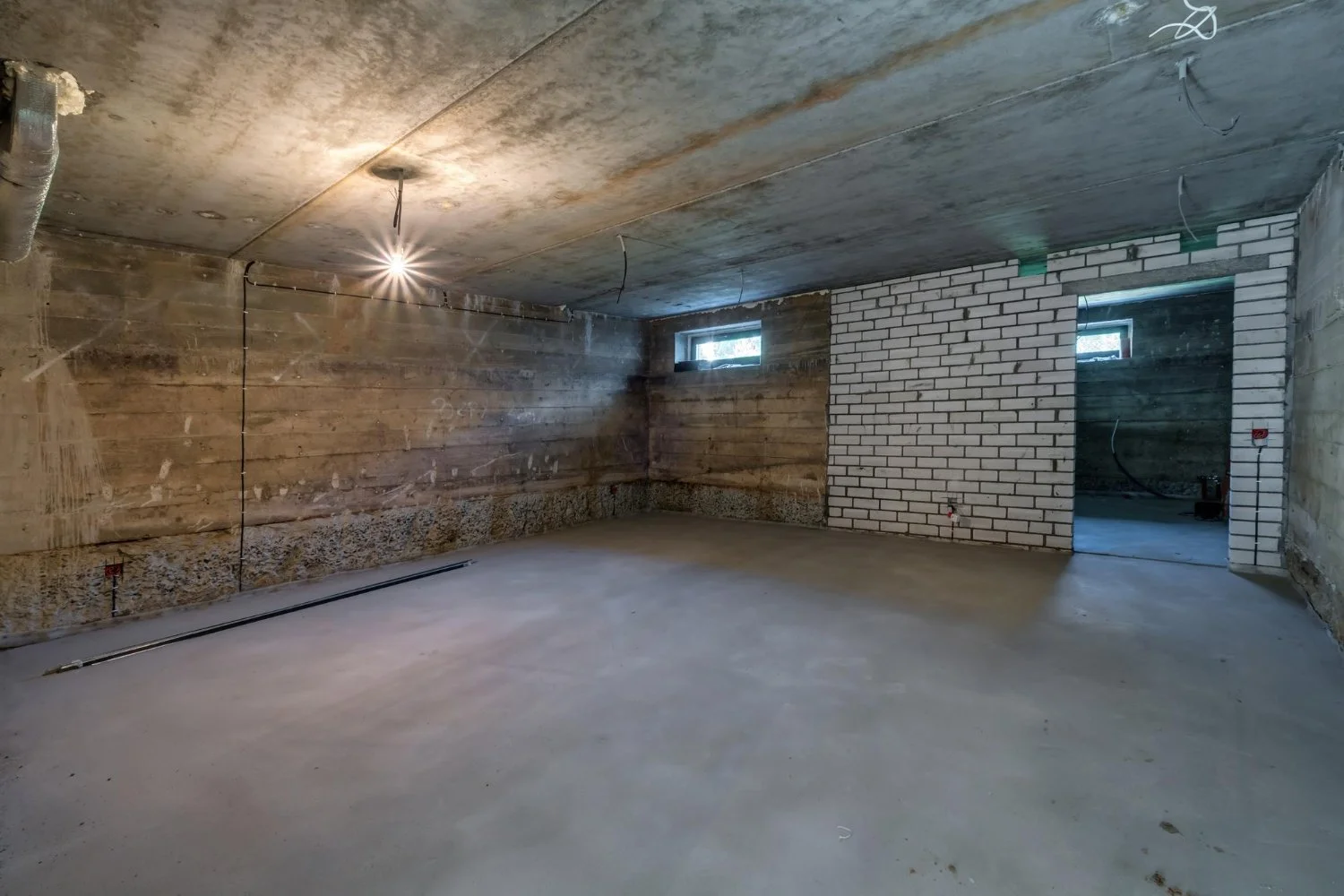What to Expect From Professional Basement and Attic Mold Removal