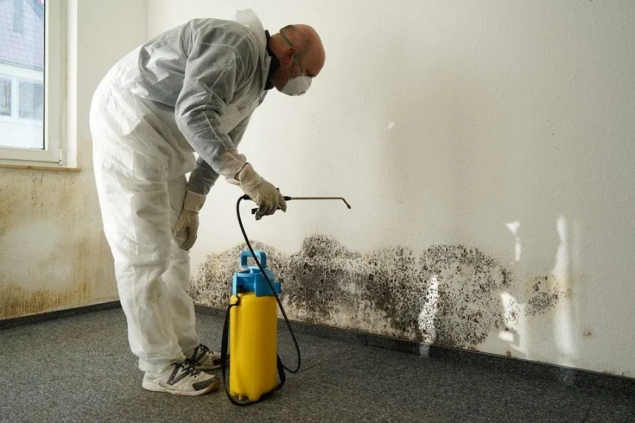 Why Your Home Still Smells Musty After Mold Clean-Up