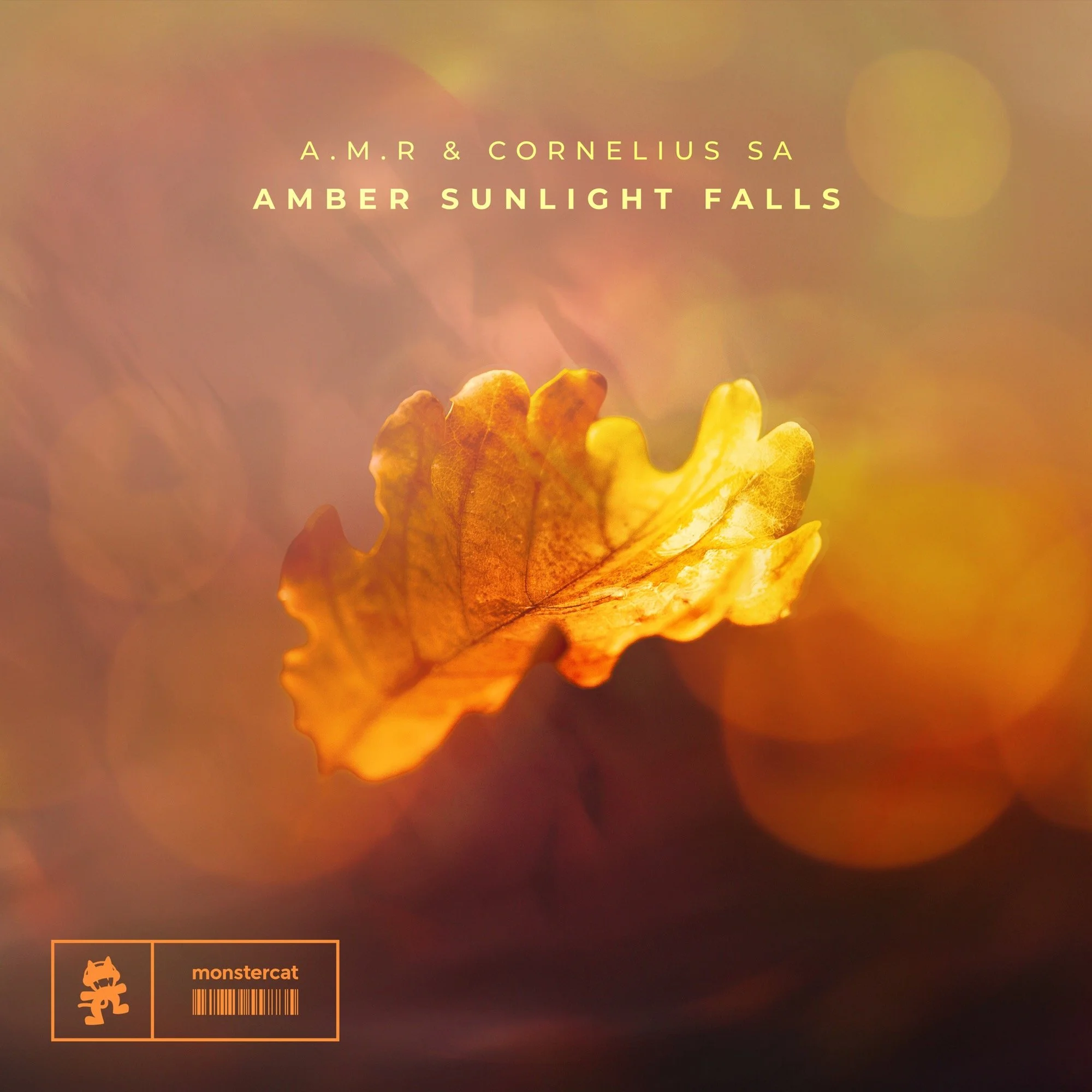 Amber Sunlight Falls