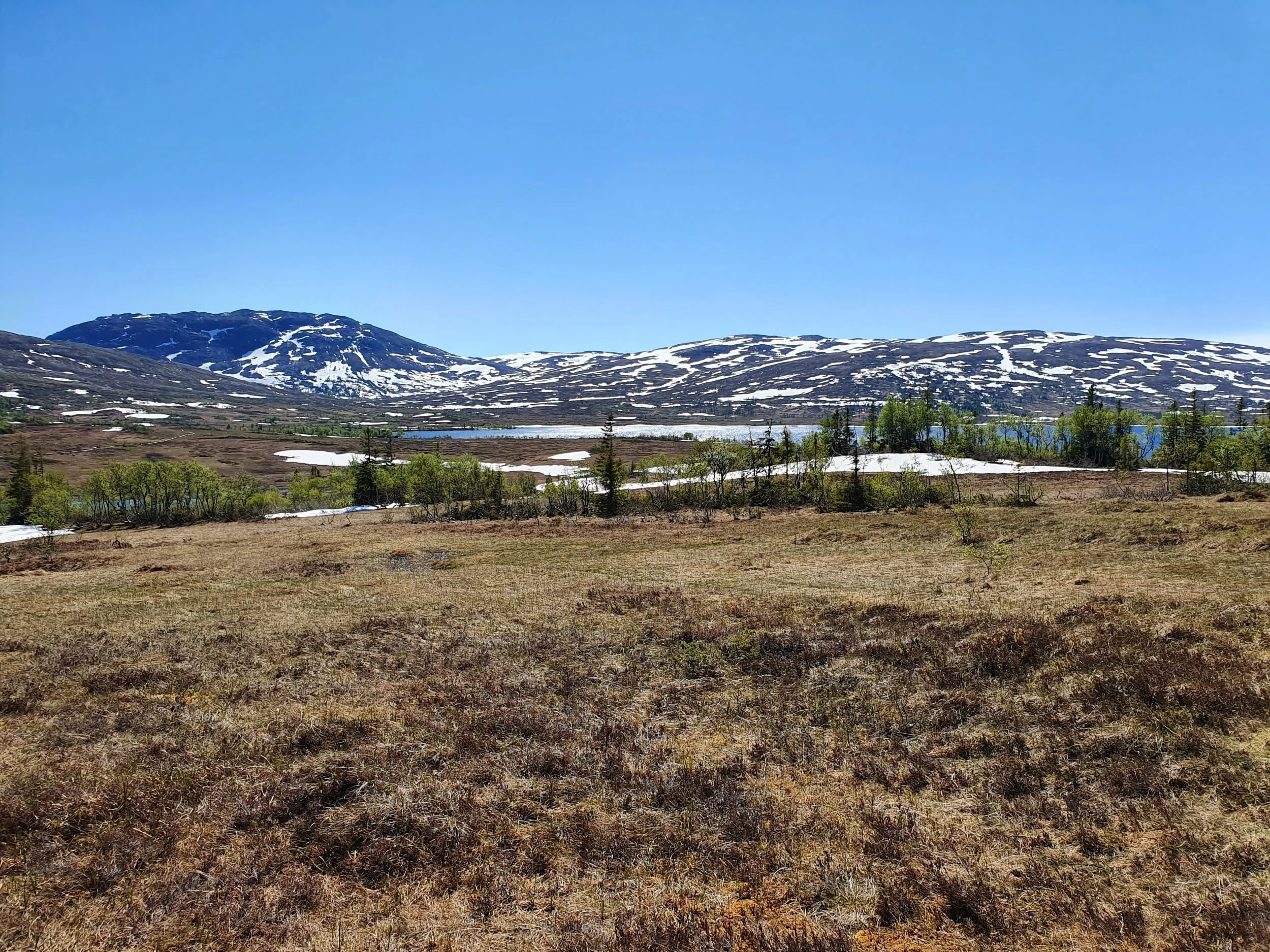 Velkommen til Verdal fjellstyre