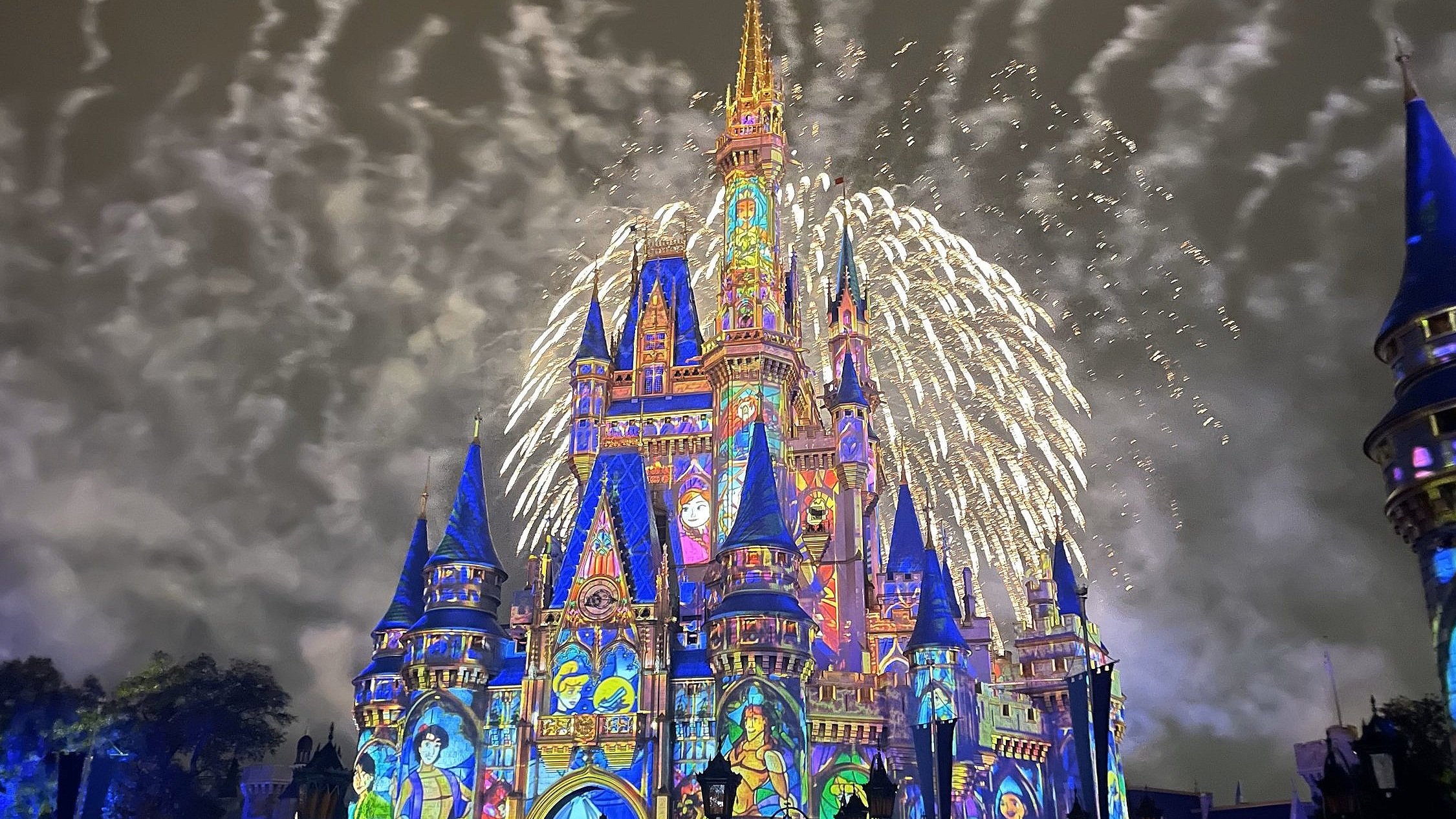 Magic Kingdom After Hours: Details and Review (2024)