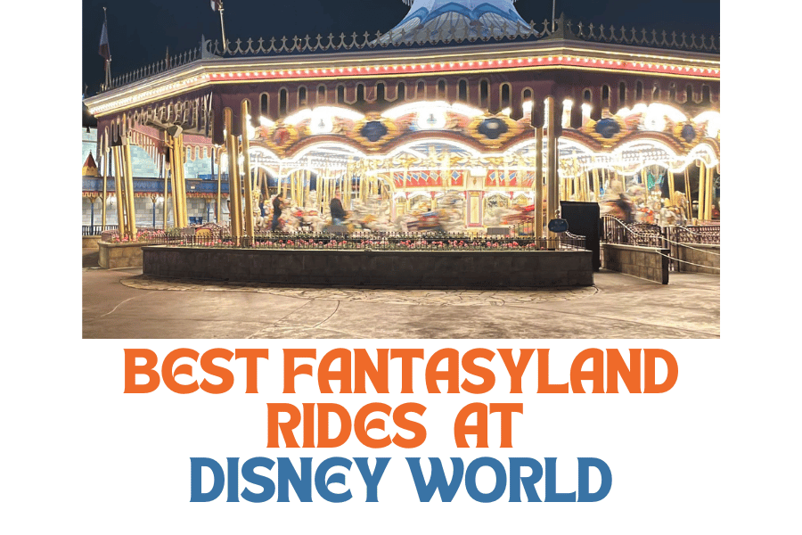 Best Double Stroller for Disney (Based on Original Data) — Second Dad ...