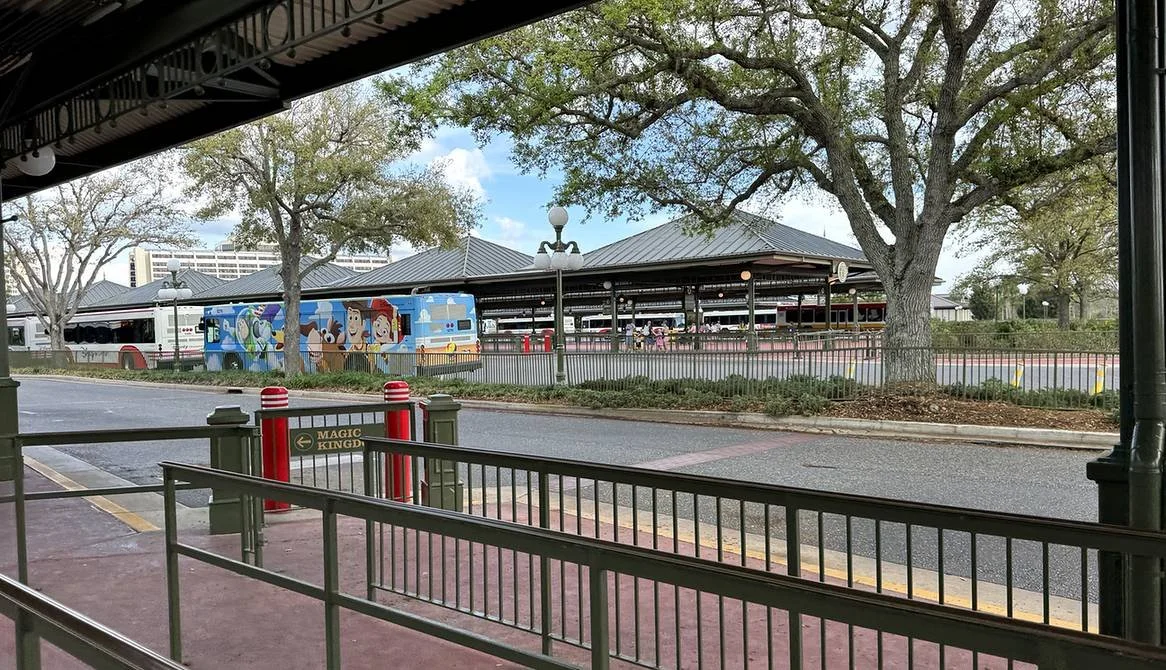 A photo from one of the lines waiting for a bus at magic kingdom in Disney World. You can see three buses parked close by, and several more in the distance lined up to pick up guests.