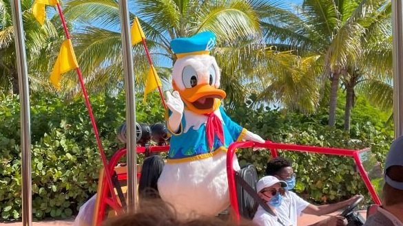 Donald Duck on a beachy woody Jeep driving by at Castaway Cay, Disney's private island