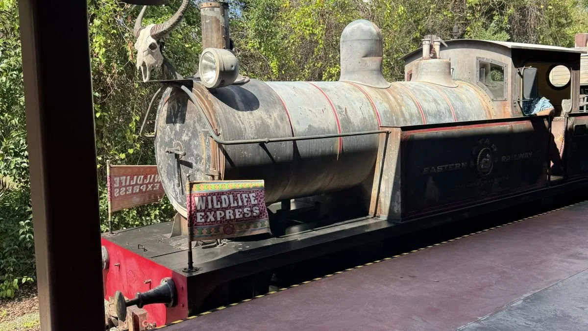 A picture of the wildlife express train at Animal Kingdom. It's old rusty steam engine train, gray with an antelope skull attached to the front. It's a great ride for infants or toddlers at animal kingdom in Disney World.