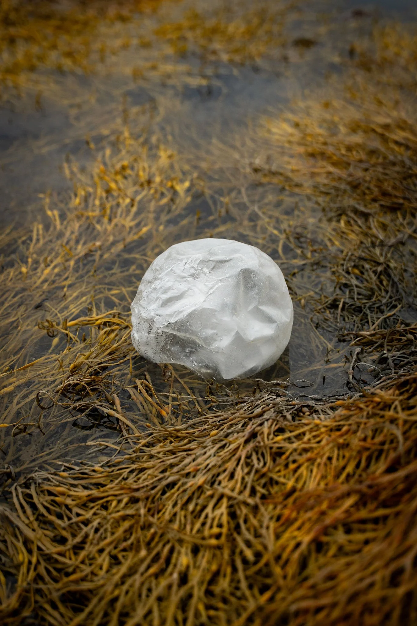 untitled-57.jpg