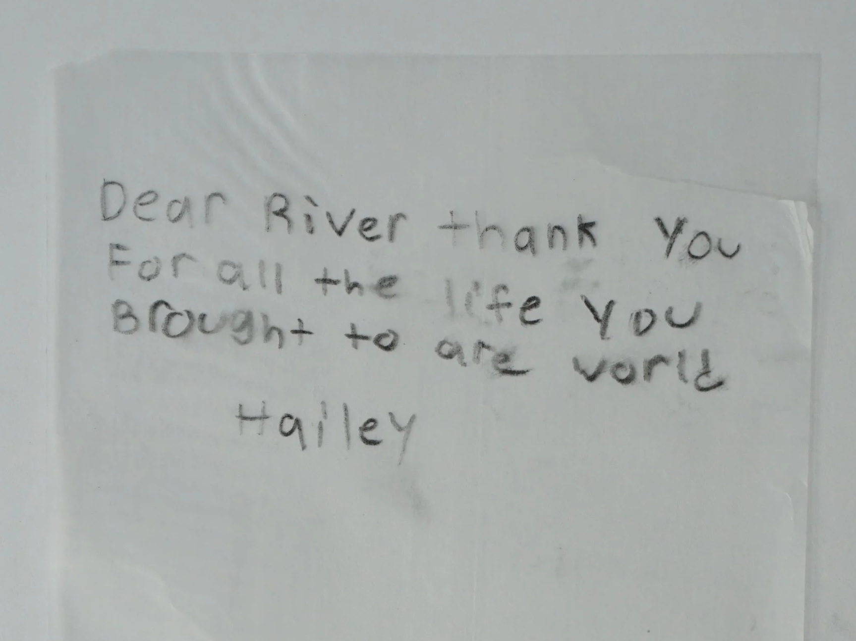 Hailey.png