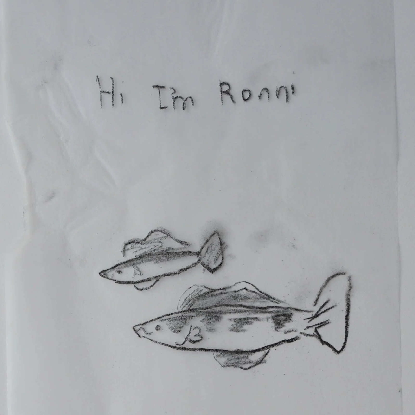 Ronni.png