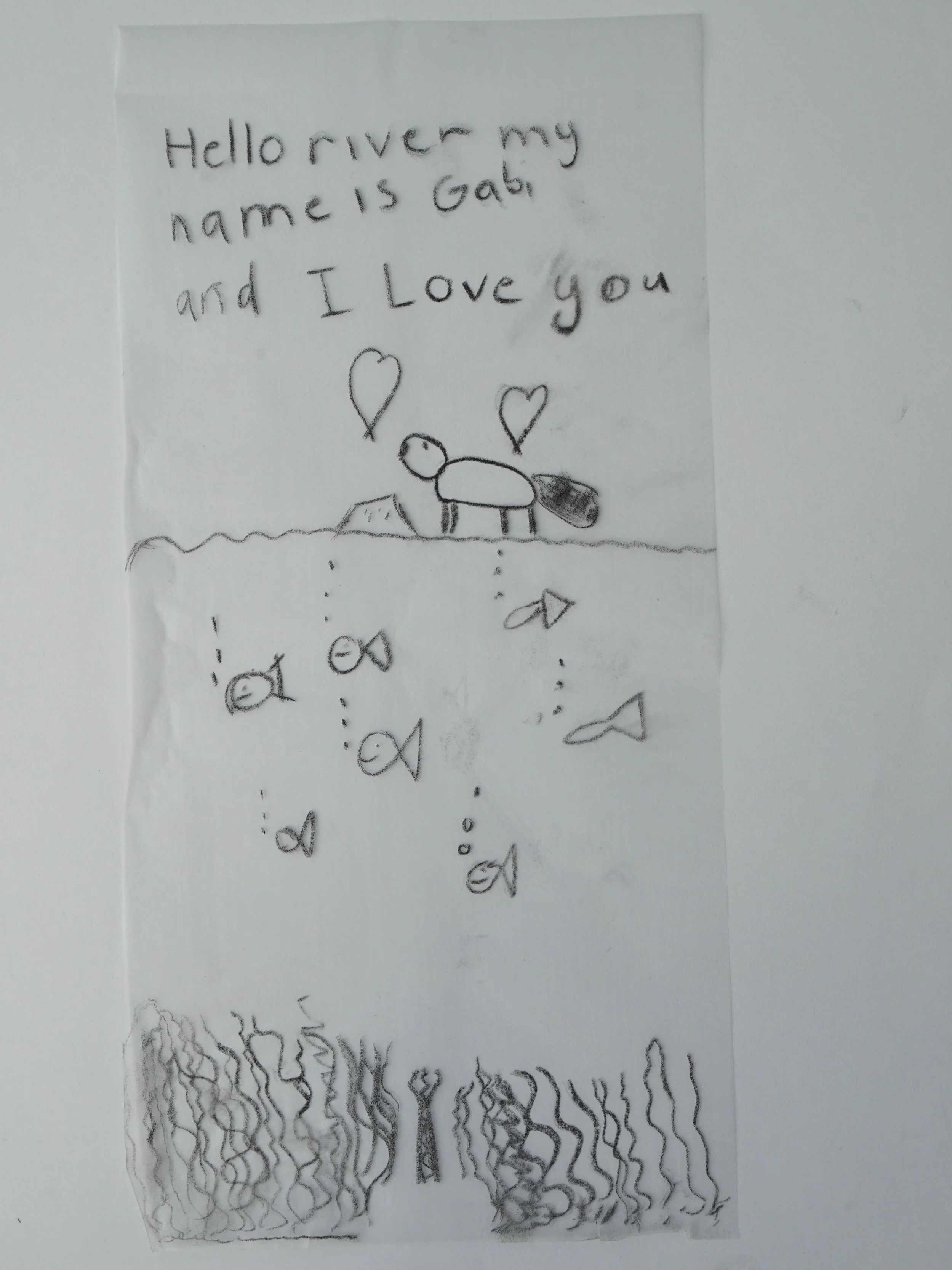 Gabi.png