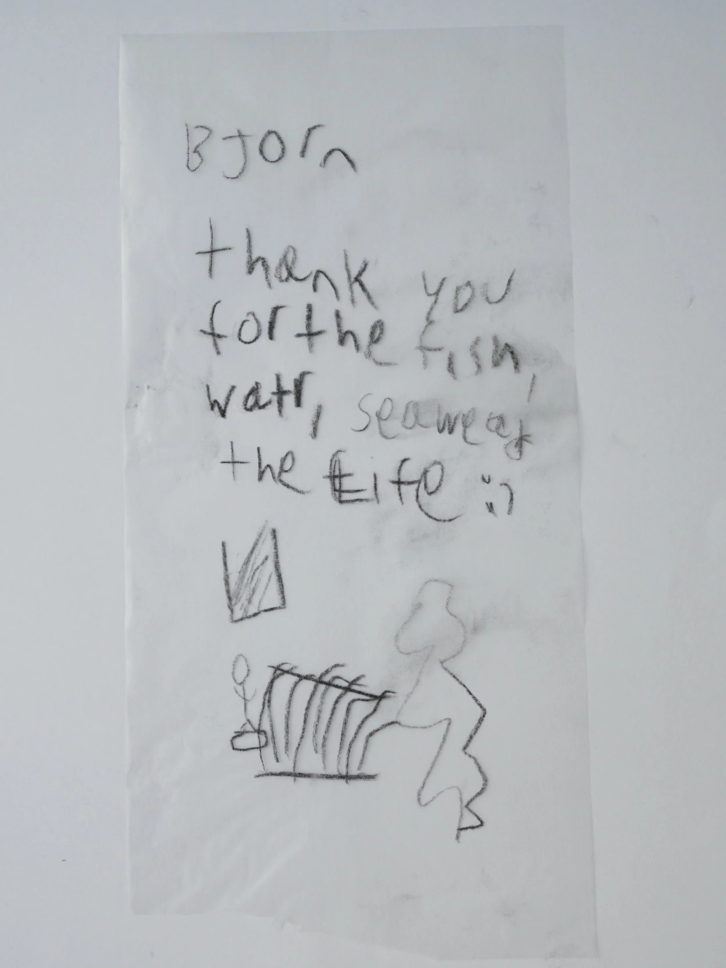 Bjorn.png