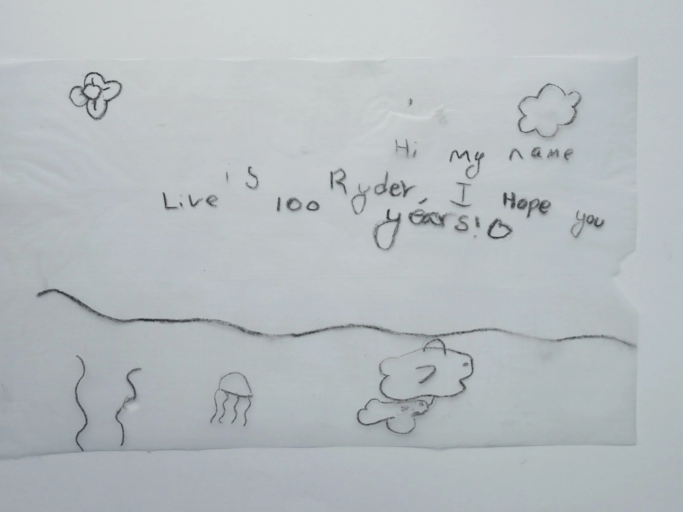 Ryder.png