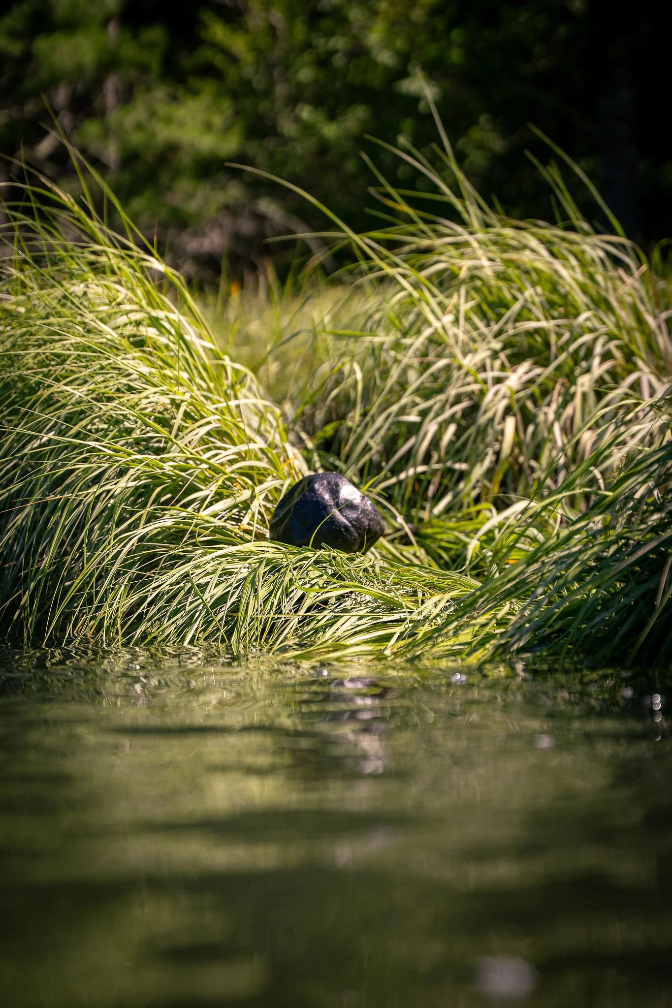 untitled-38.jpg