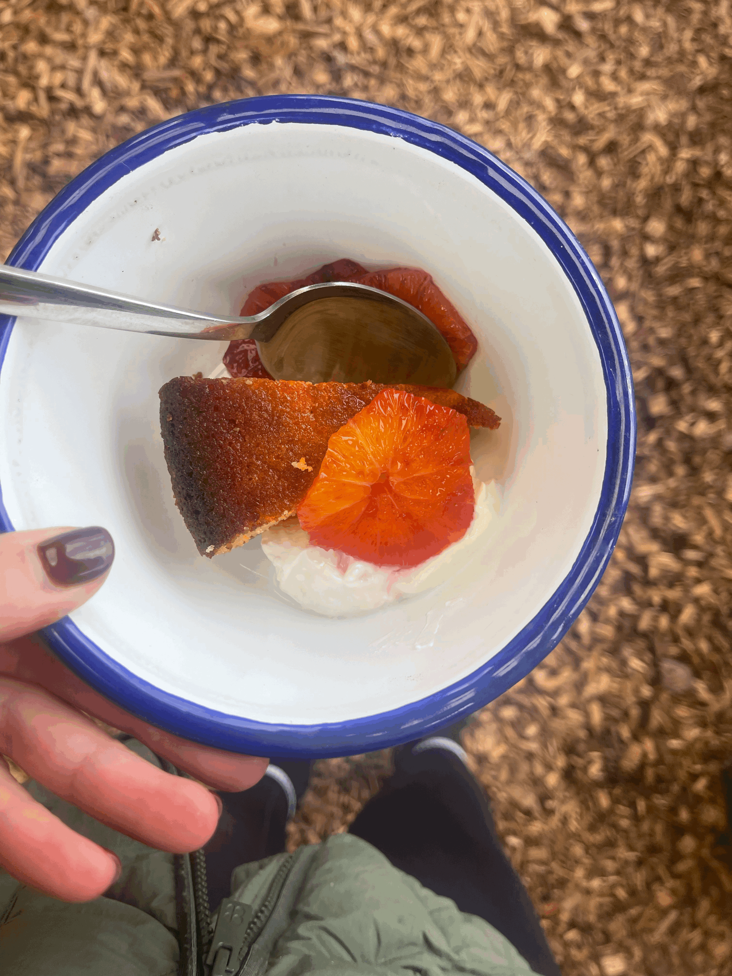 Blood orange and almond cake