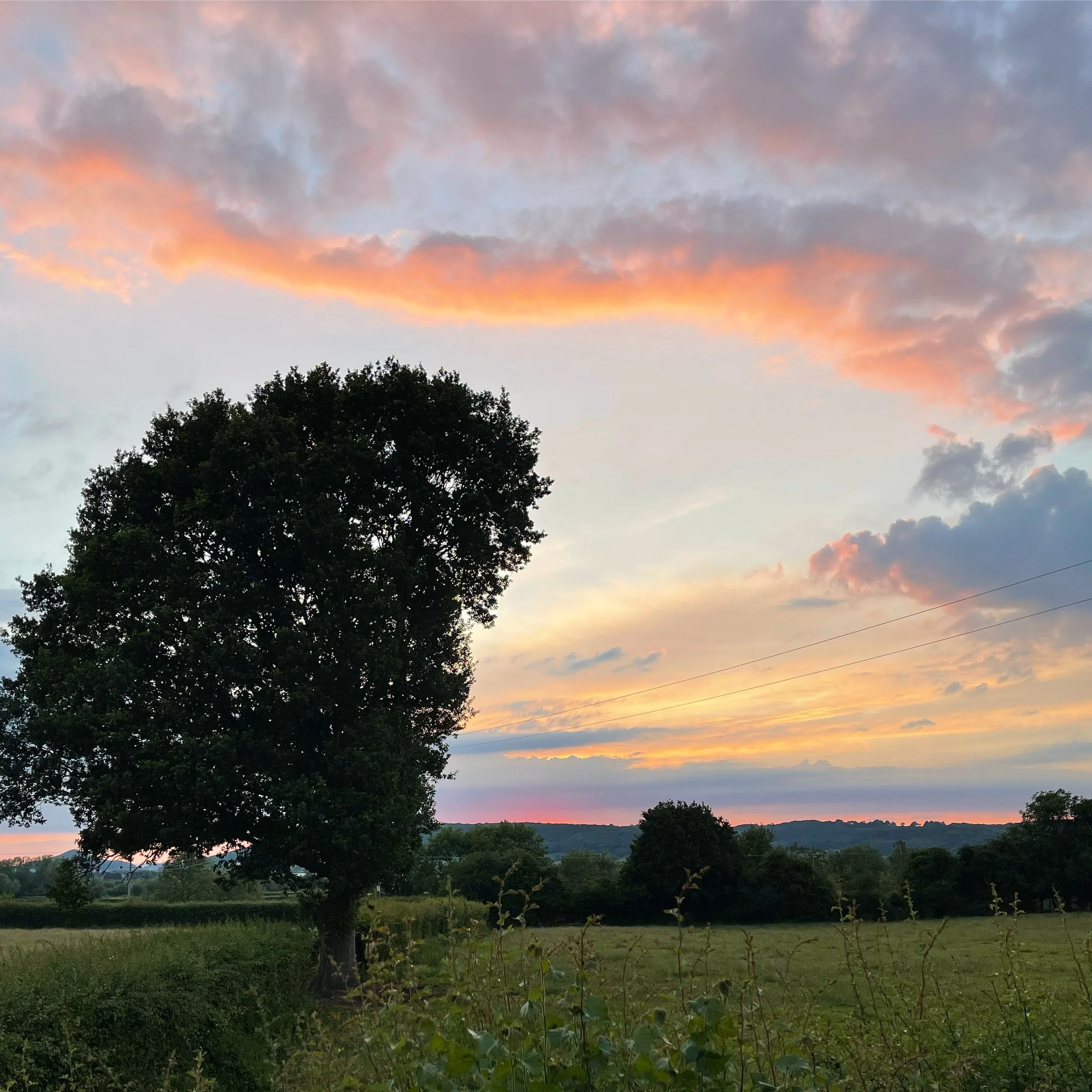 A scenic landscape featuring a large tree in the foreground and rolling hills in the distance, with a sky at sunset filled with pink, orange, and purple clouds.