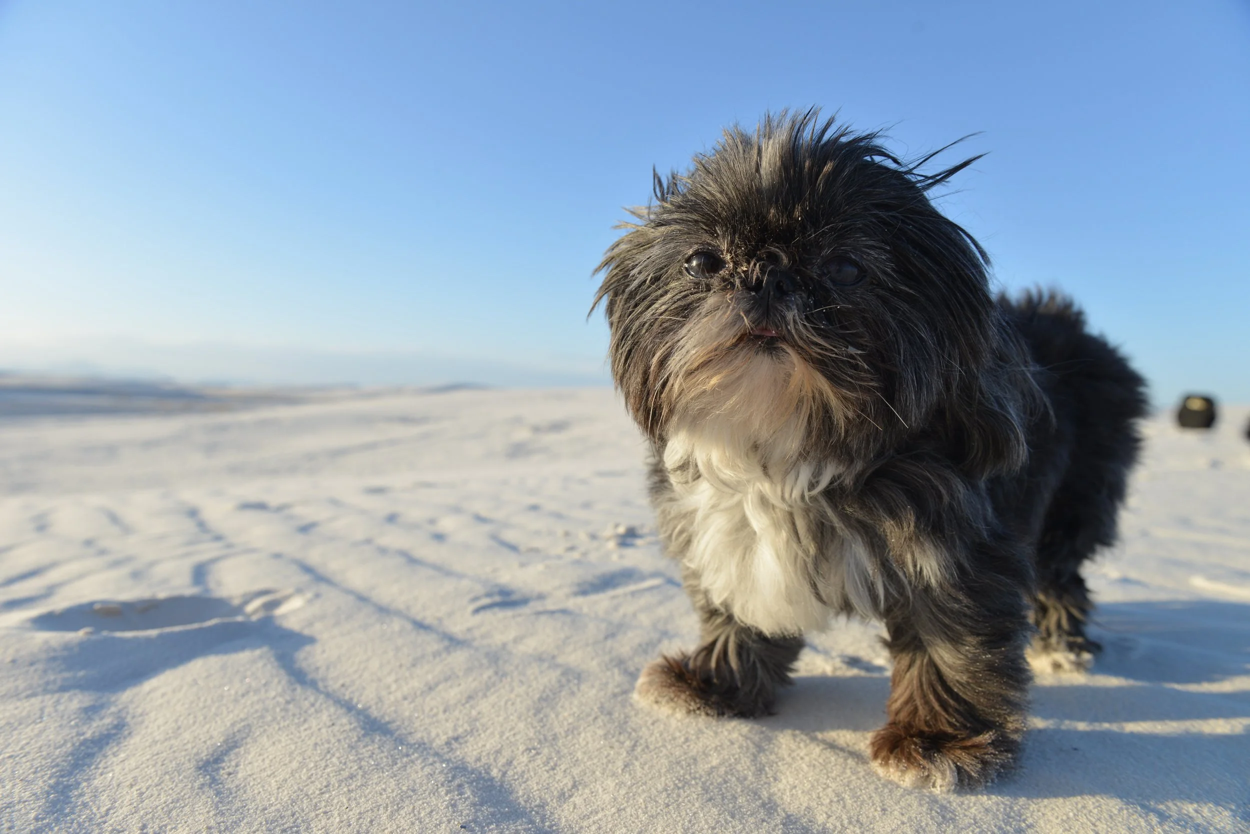 Photo May 11, 5 20 51 PM.jpg