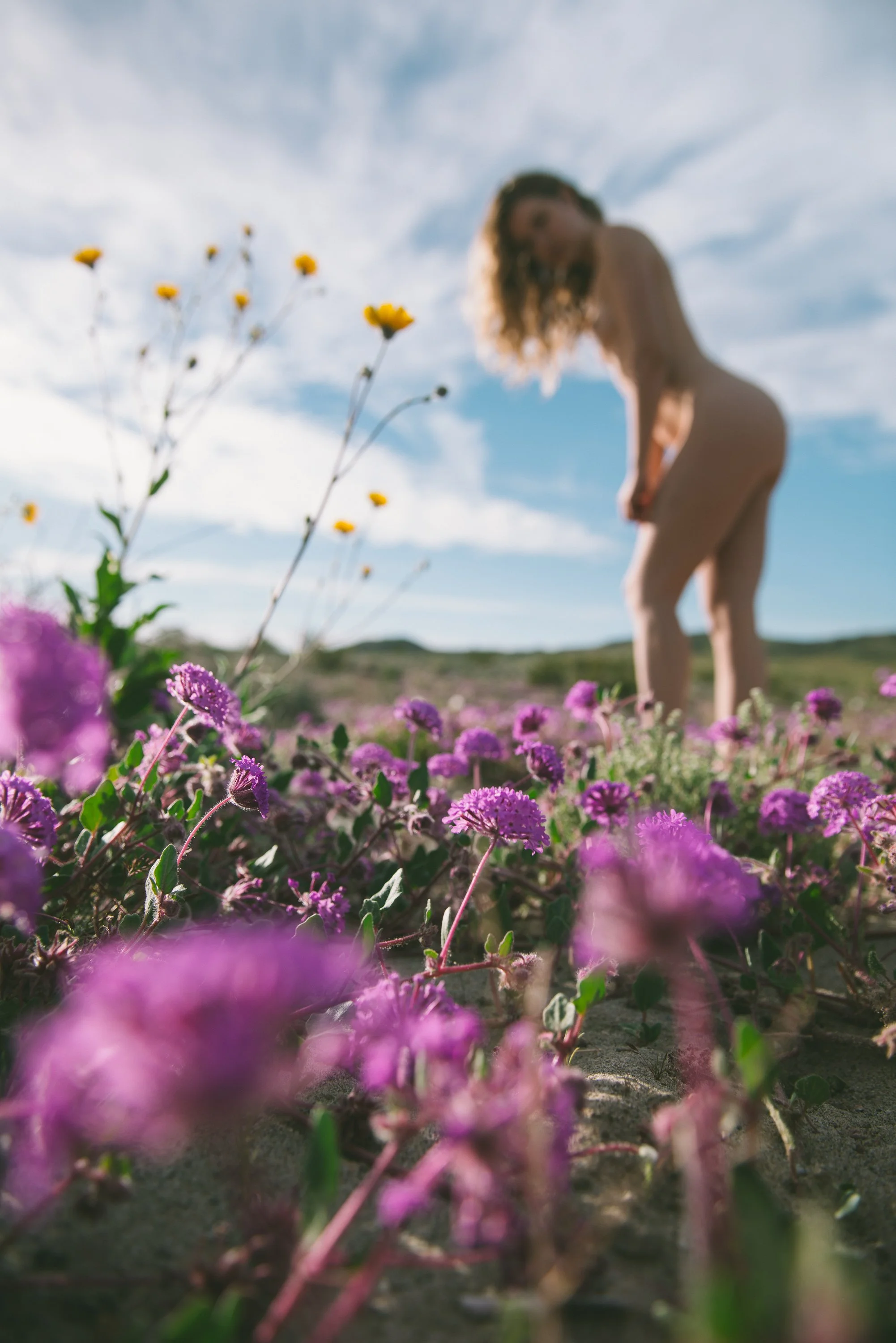 20190310_SuperBloomBorrego 459.JPG