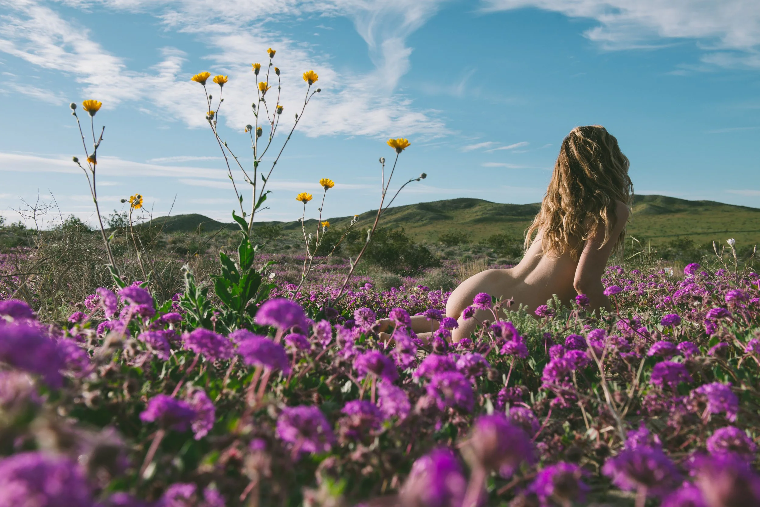 20190310_SuperBloomBorrego 397.JPG