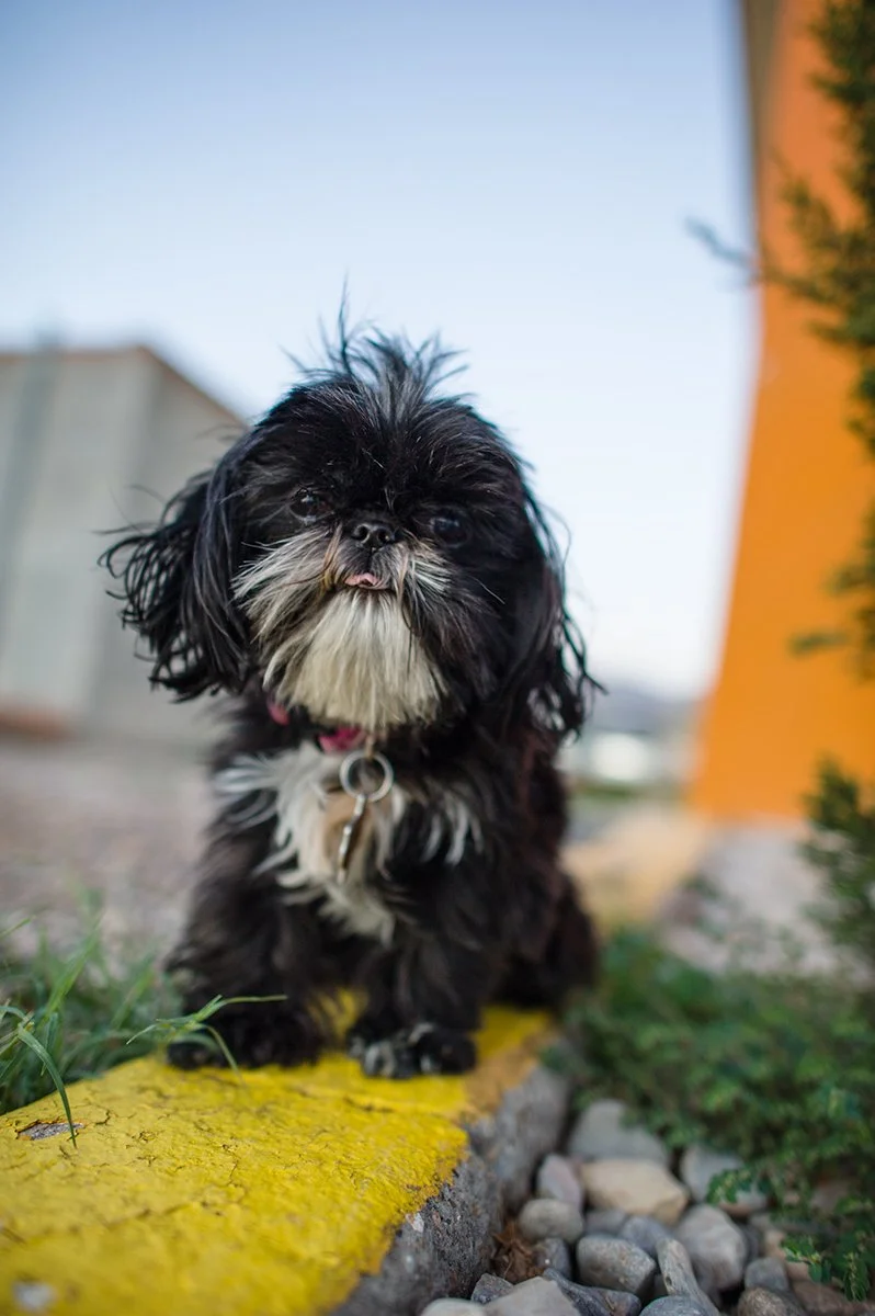 _IMG3776-Recovered (1).jpg