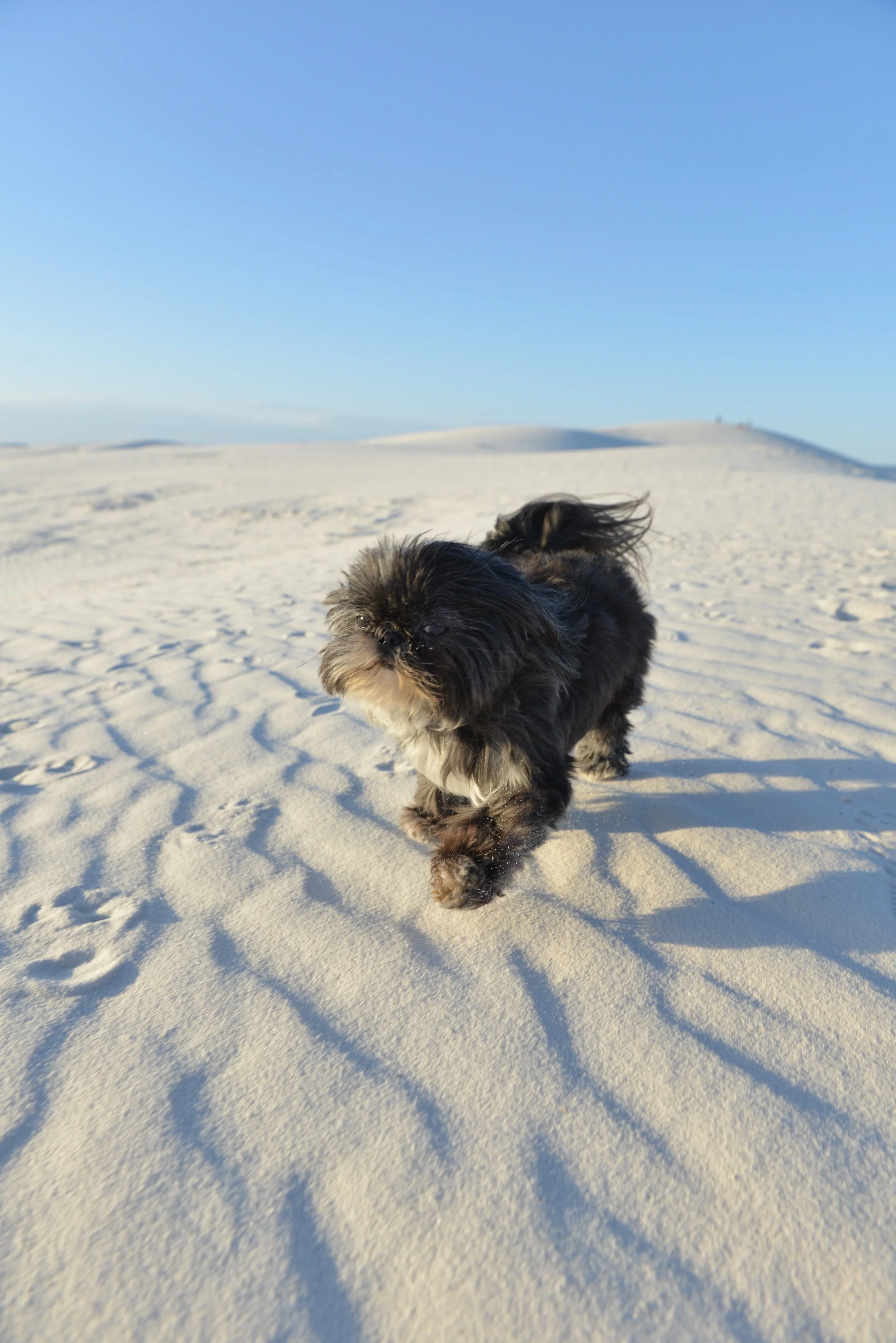 Photo May 11, 5 20 38 PM.jpg