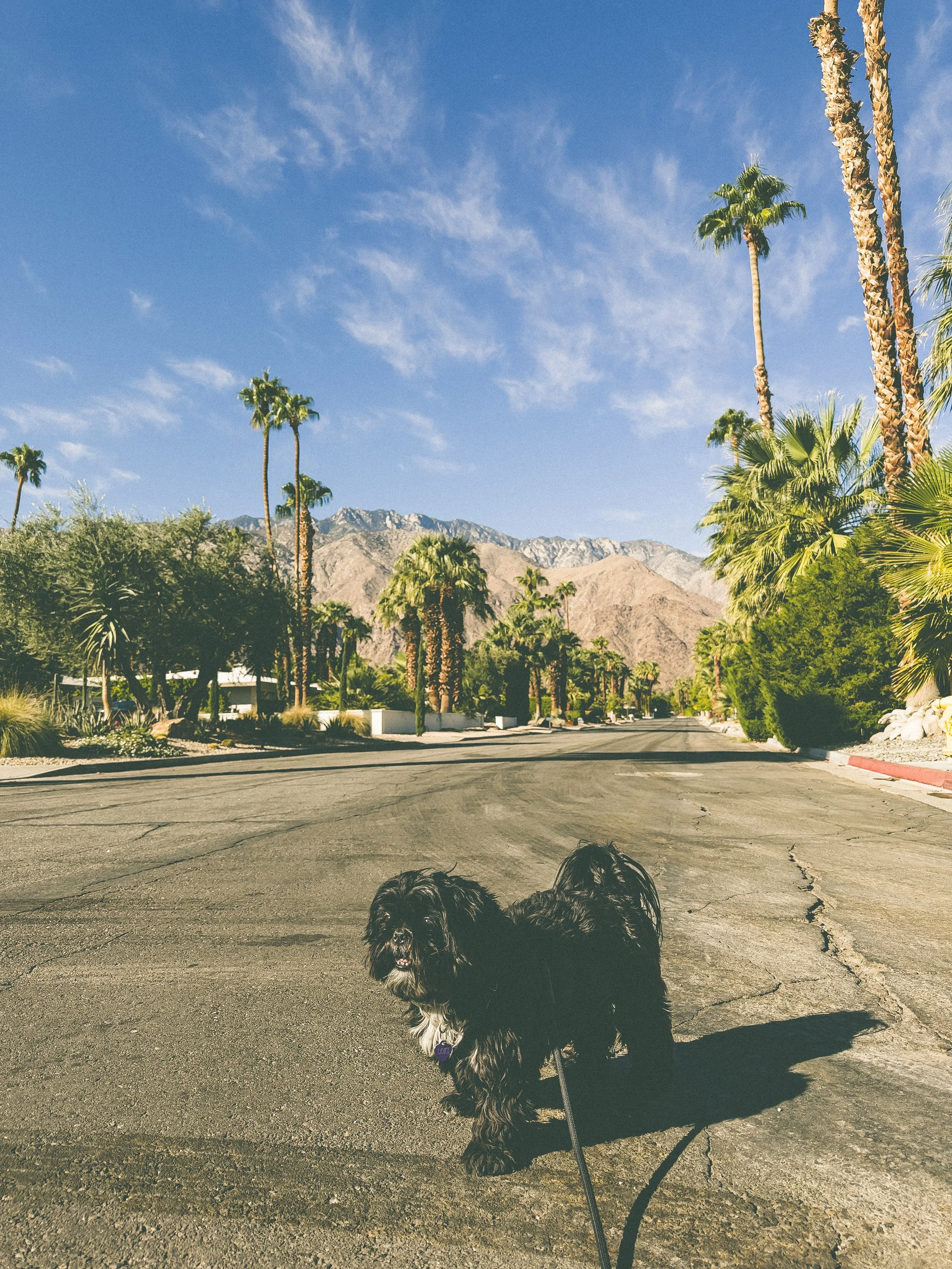 0405D142-DF5D-43C8-B54B-D56B8A62DD42 2.JPEG