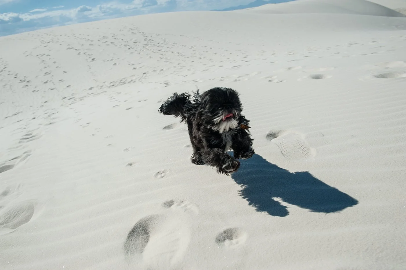 _IMG4138-Recovered (1).jpg