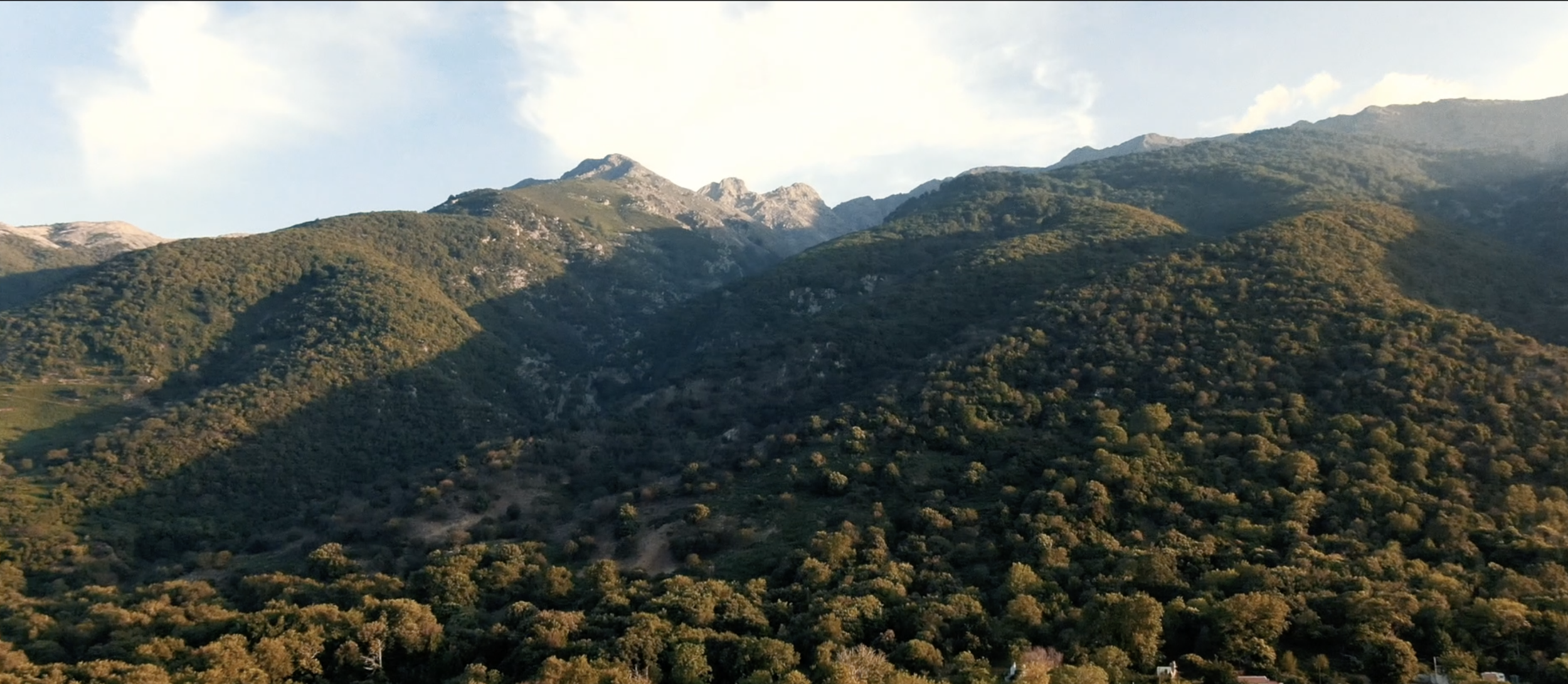 Screenshot 2023-06-08 at 15.10.27.png