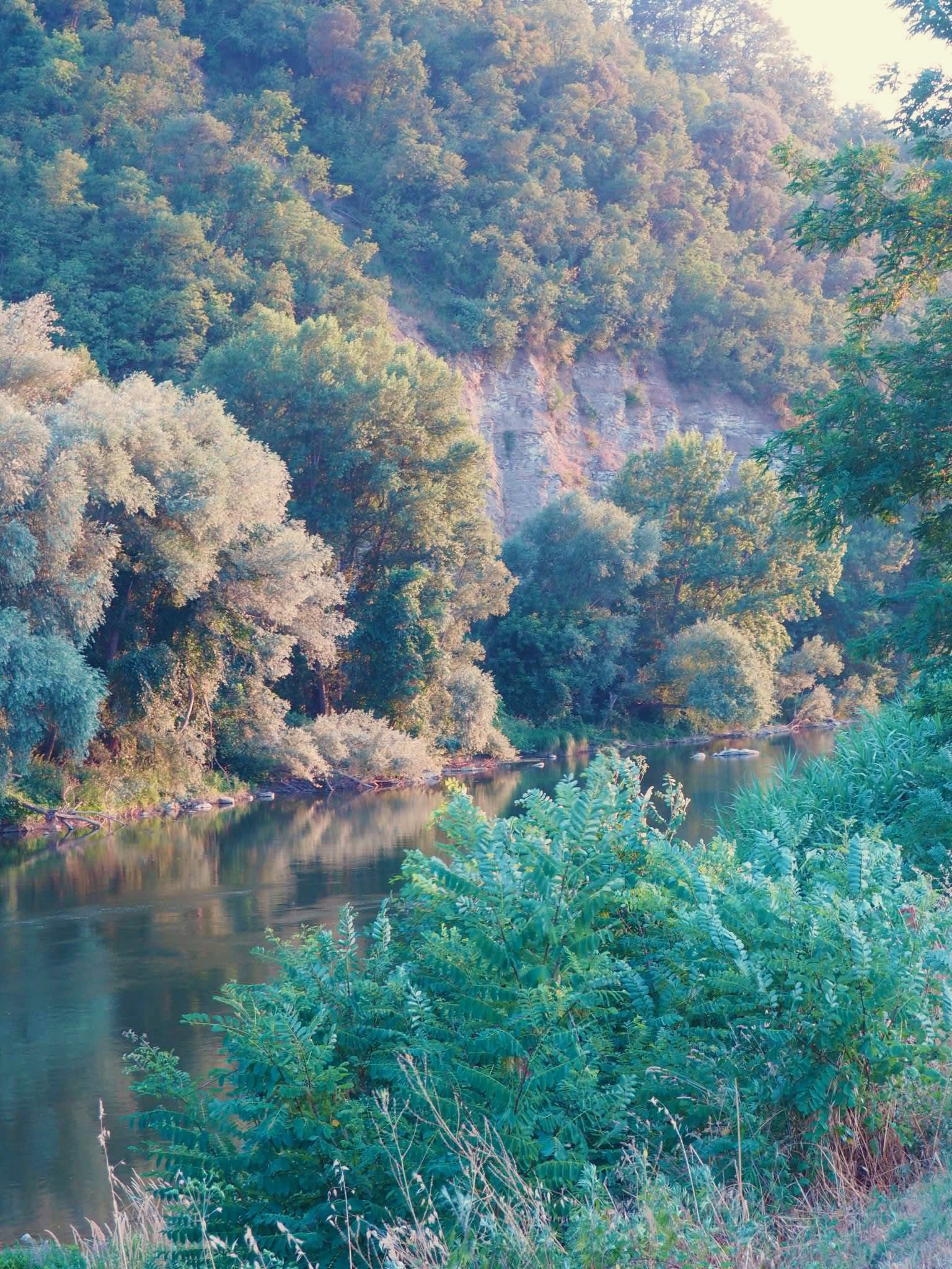 IMG_8556.jpeg
