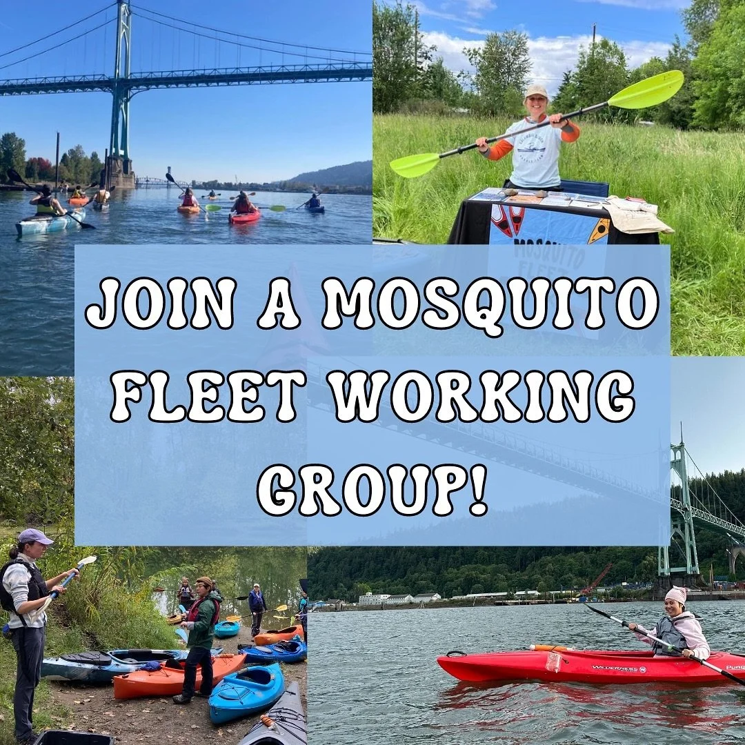 Join a Mosquito Fleet working group !! 

Have you been wanting to support the fleet but don&rsquo;t know how to plug in? Join a working group! To join a working group, volunteers must go through a fleet volunteer orientation with a fleet team member 