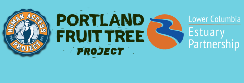 Portland Fruit Tree Project: Ross Island Blackberry Harvest & Action Day Paddle