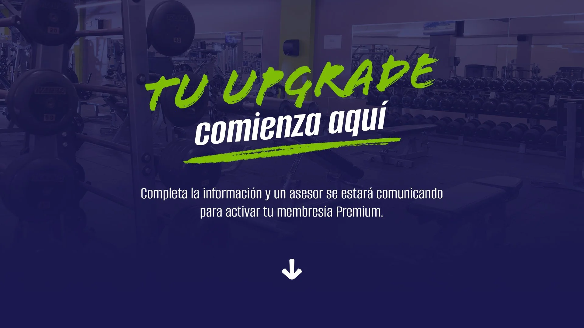 Miembros Activos_Hero Image.jpg