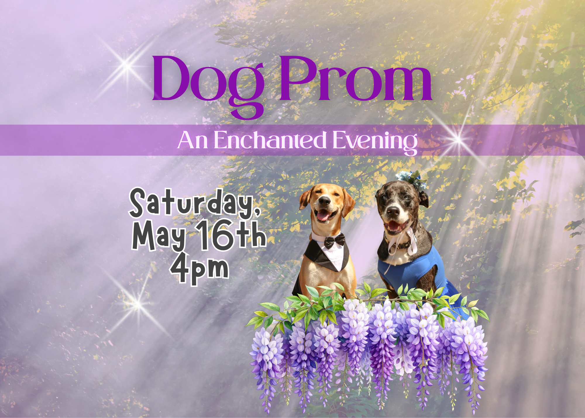 Dog Prom