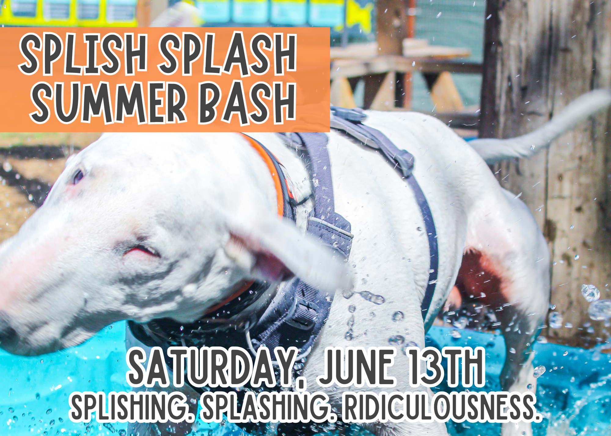 Splish Splash Summer Bash