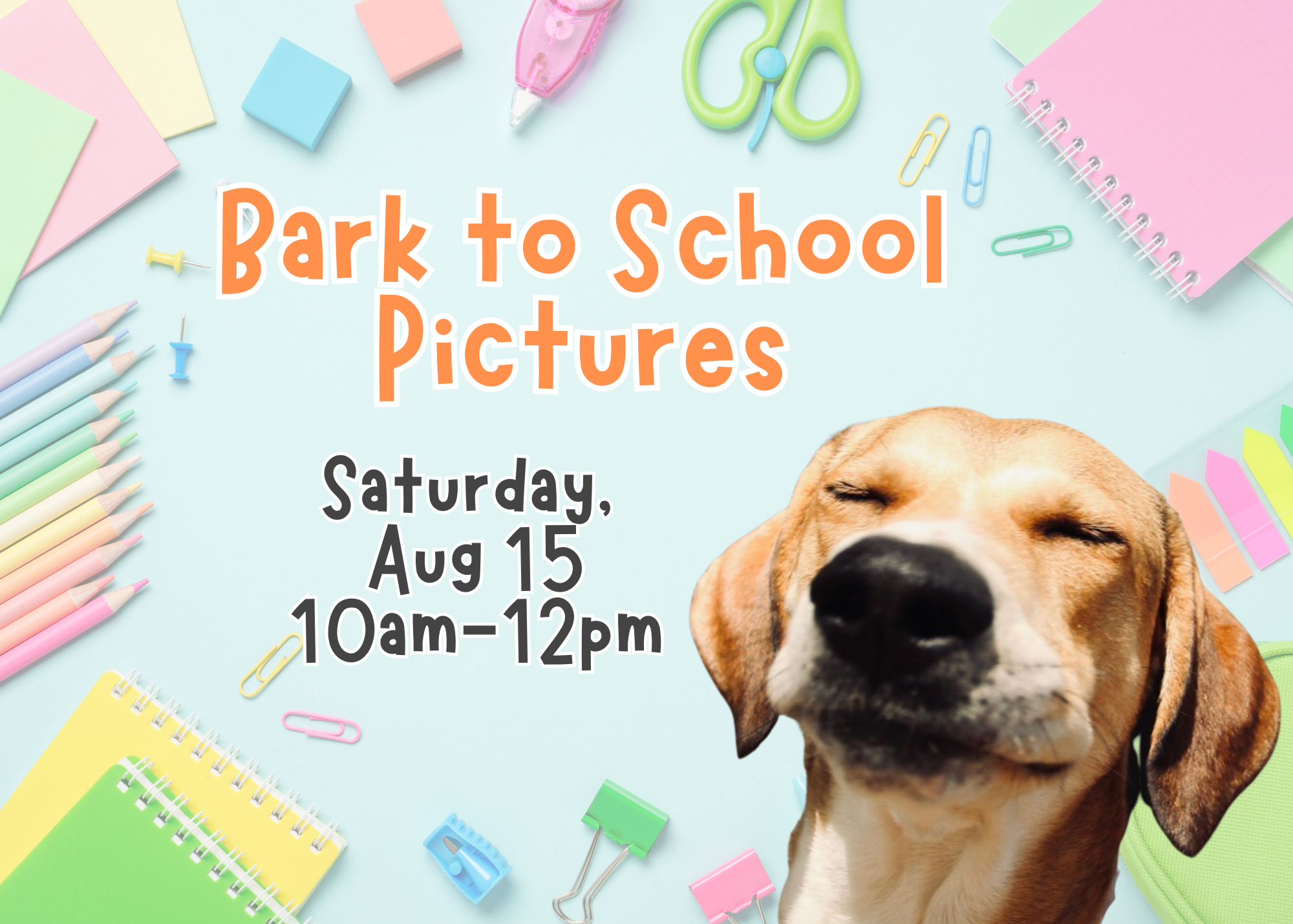 Bark to School Pictures