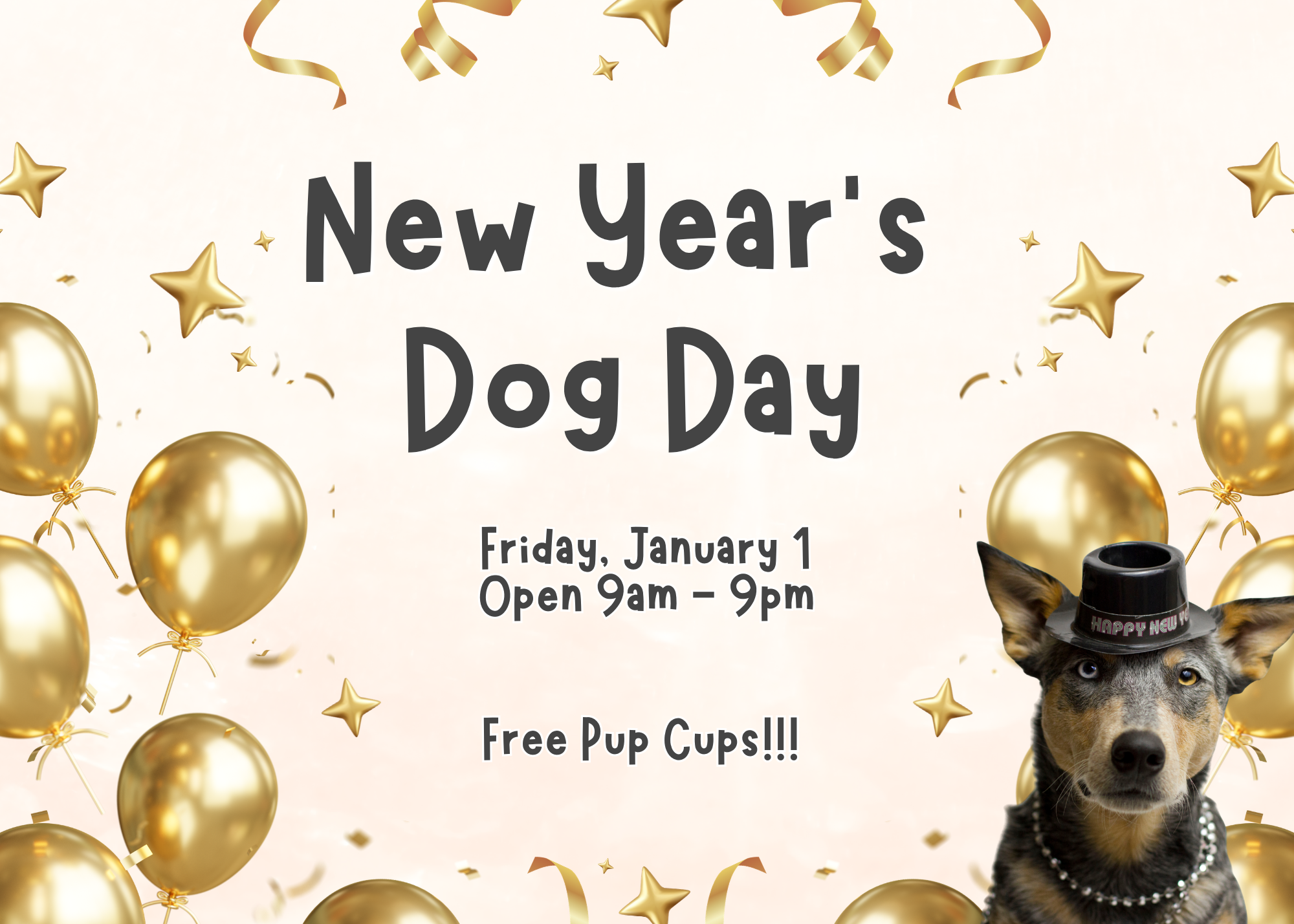 New Year’s Dog Day