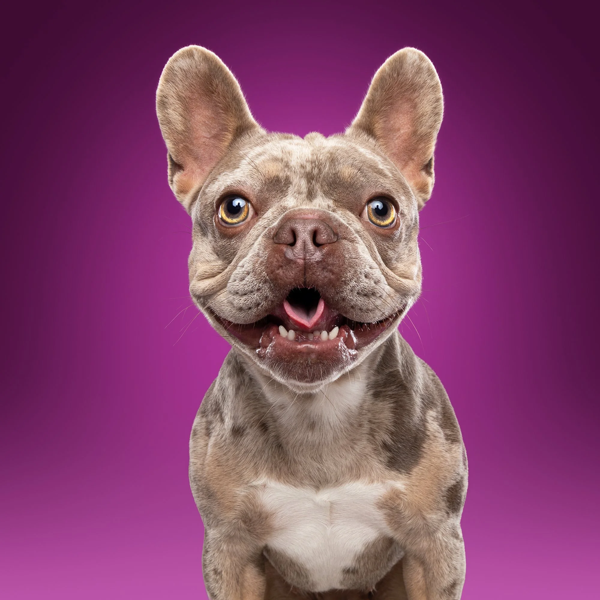Guusje tijdens een fotoshoot bij fotostudio Motherpuppers